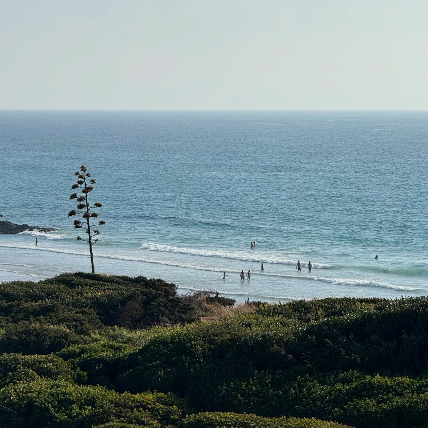 August in Cascais, Portugal. 

1. Praia do Guincho. Best beach in portugal on a rare non-windy day. Feels like California. 

2. @donalfonso1890_cascais , an Italian restaurant in Cascais with roots on the Amalfi Coast. The tomato pasta is 🤤

3. Dail
