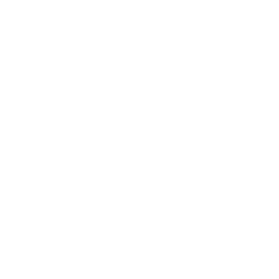 leadership (1).png