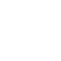 consulting (1).png