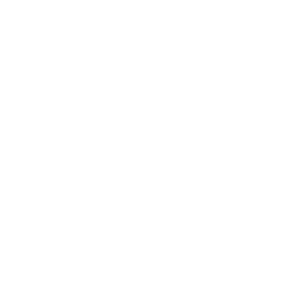 network (1).png