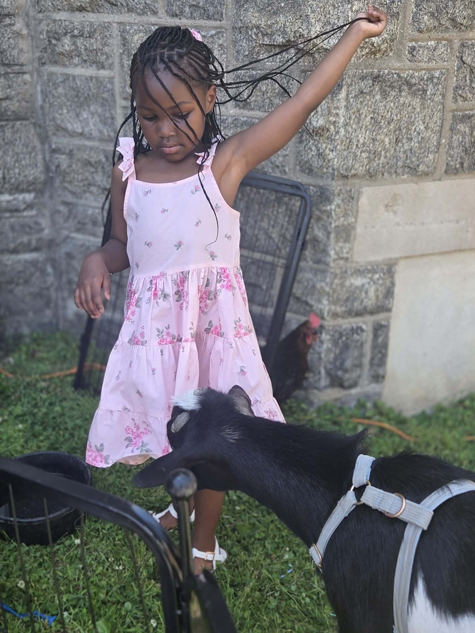 TCLI PreK Graduation 4.jpeg
