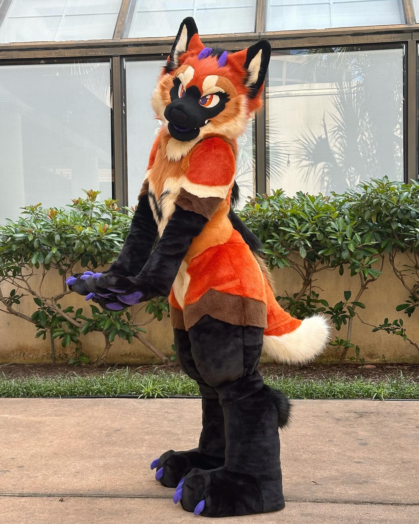Peekaboo! 🧡❤️💜 #FursuitFriday
.
.
#fursuit #fursuiting #fursuitwip #fursuitmaking #fursuitmaker #furry #furries #furryfandom #anthro #anthroart #furryart #cosplay #furryreels #furrymemes #fursona #fursuitwip #FursuitFriday #furryartwork #furrycommu