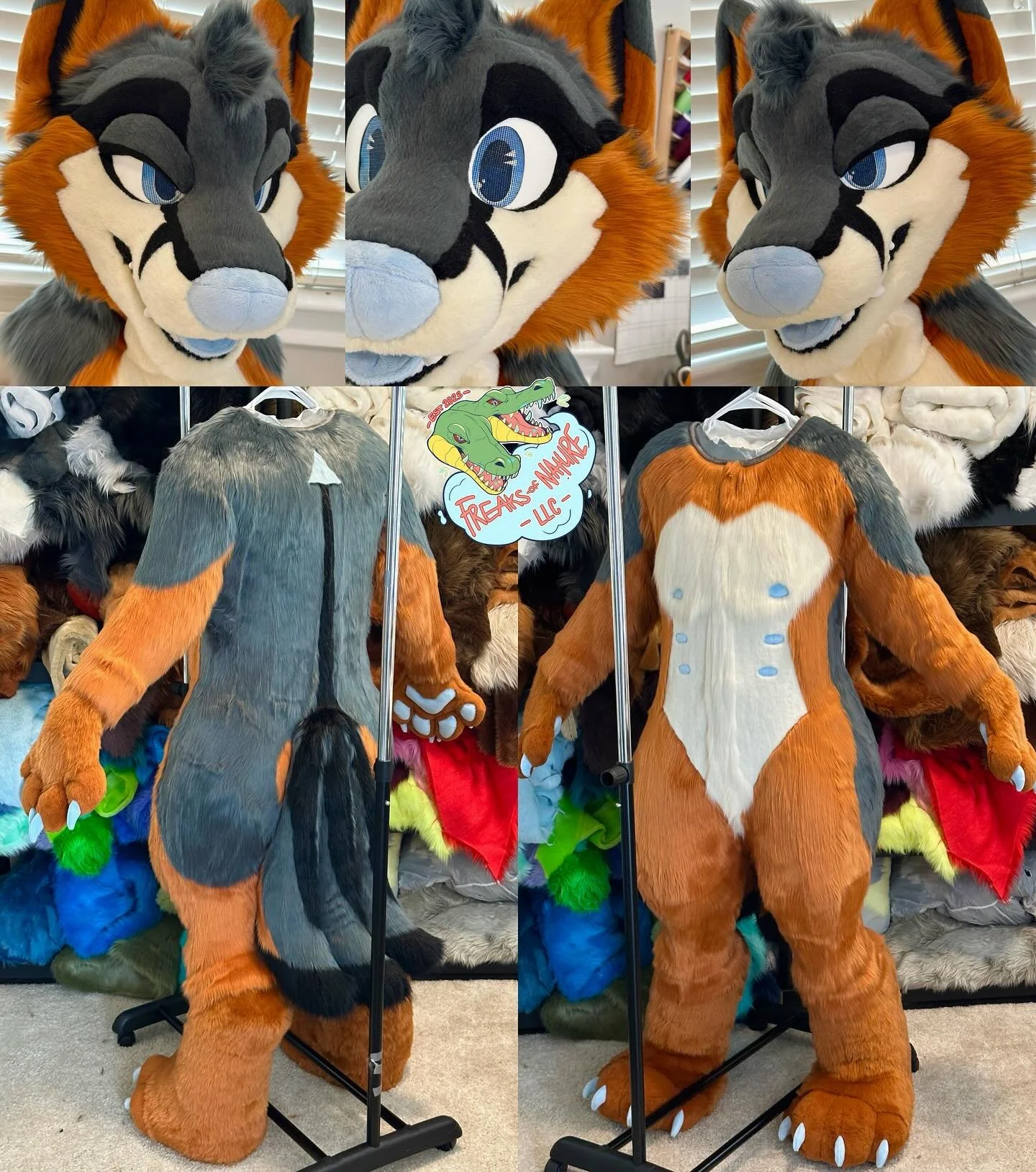Meet Rockit the Fox! 🦊❄️ 

Our most recent digitigrade fullsuit with not one, not two, but THREE tails! This fullsuit features 2 pairs of magnetic eyelids, 2 velcro tongue options, zip-on handpaws, and a three-tailed base.
-
-
-
-
-
#fursuit #fursui