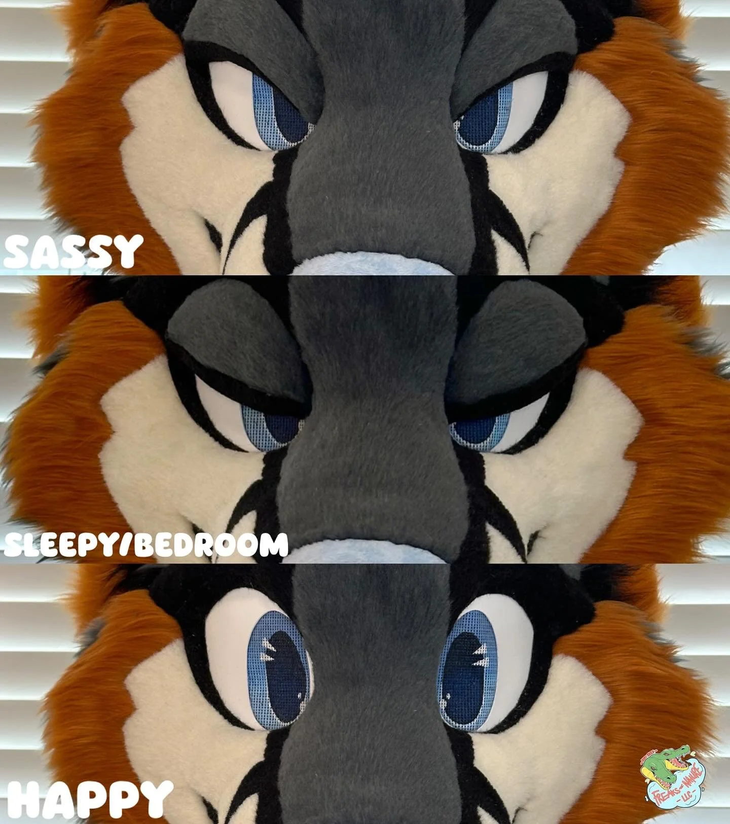 🦊So many faces! What&rsquo;s your favorite?🧐
-
-
-
-
-
#fursuitmaker #fursuithead #fursuiteyes #fursuitwip #fursuitmaking #fursuitmaker #furry #furries #furryfandom #anthro #anthroart #furryart #cosplay #furryreels #furrymemes #fursona #fursuitwip 