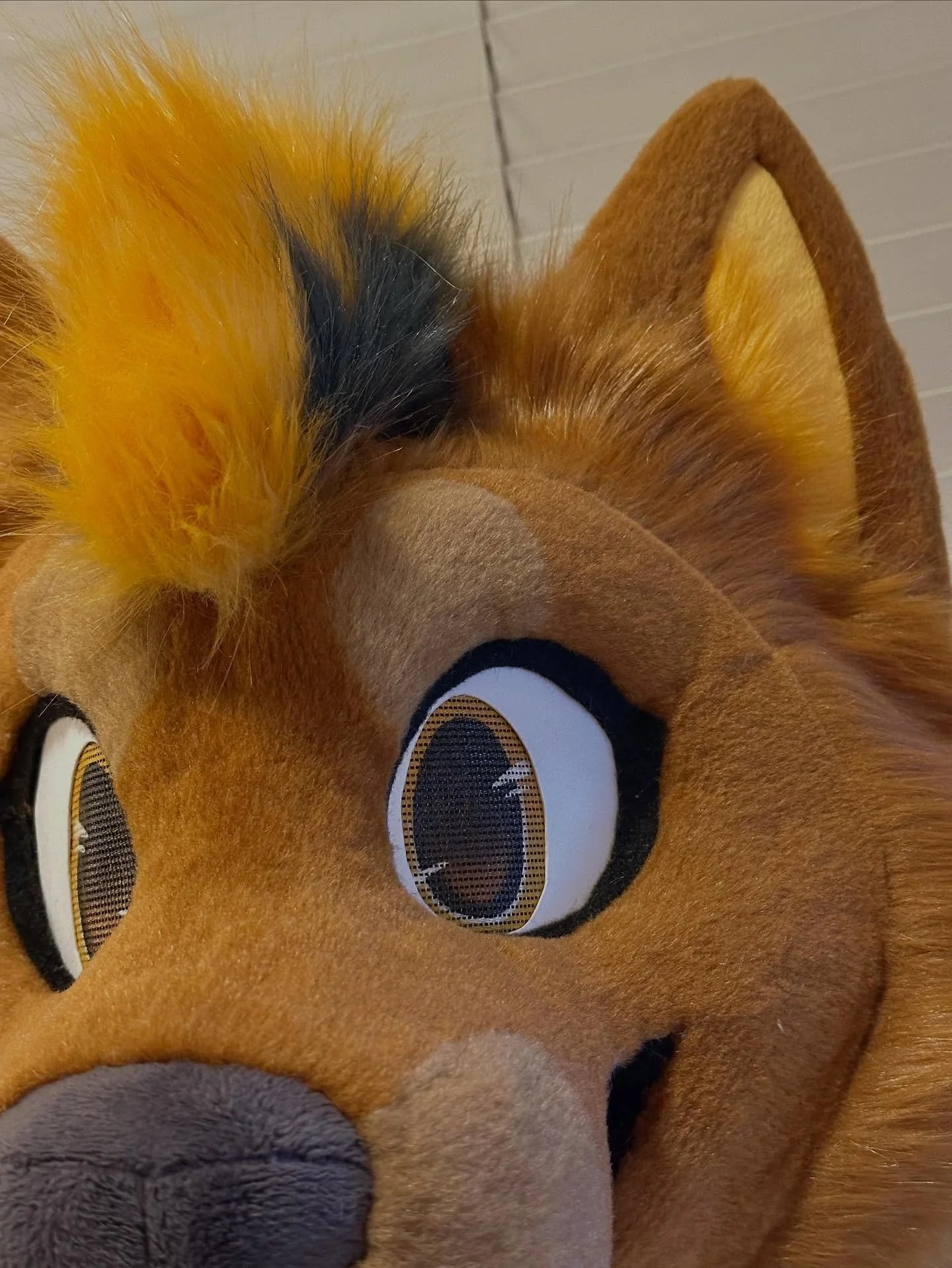 coming soon.. 🌟🐕 #FursuitFriday
.
.
#fursuit #fursuiting #fursuitwip #fursuitmaking #fursuitmaker #furry #furries #furryfandom #anthro #furryart #cosplay #furryreels #fursona #fursuitwip #furrycommunity #fursuitpartial #fursuithead