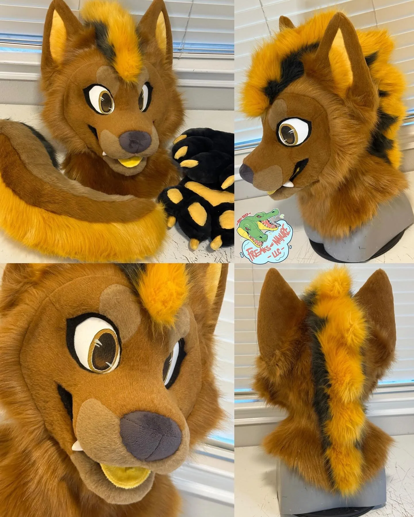 Yuzu the Golden Jackal is complete !! 🌟🐕 

We are NOW accepting custom, fursuit quote requests to prepare for our next commission opening on November 15th! 📆 (links in bio)
.
.
#fursuit #fursuiting #fursuitwip #fursuitmaking #fursuitmaker #furry #
