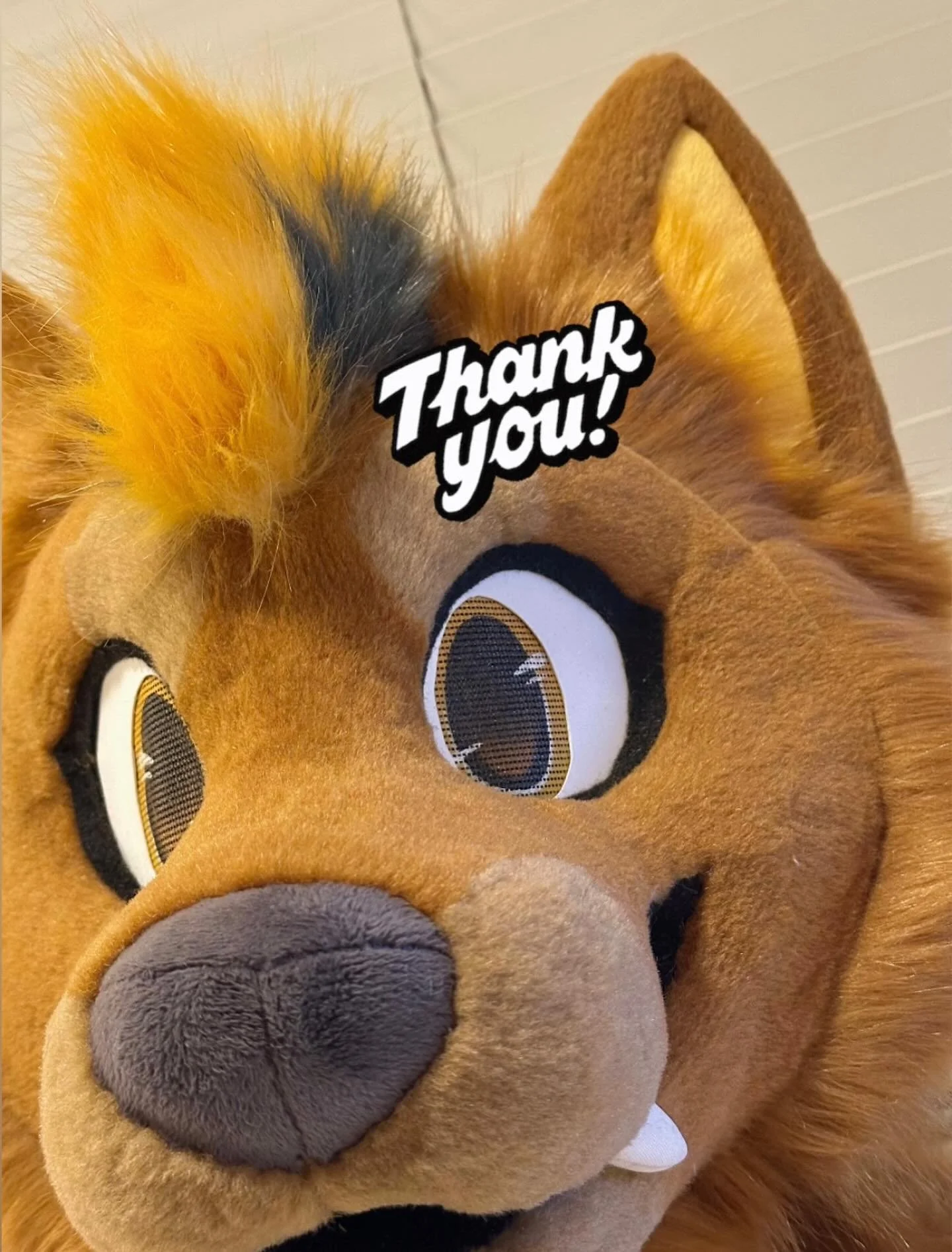 The commission form has now closed! Thank you to everyone who submitted, I appreciate yall taking the time to support my work 🫶🏽
📥 Decision emails will be sent out this weekend, so keep an eye on your inbox! 📥 
.
.
#fursuit #fursuiting #fursuitwi