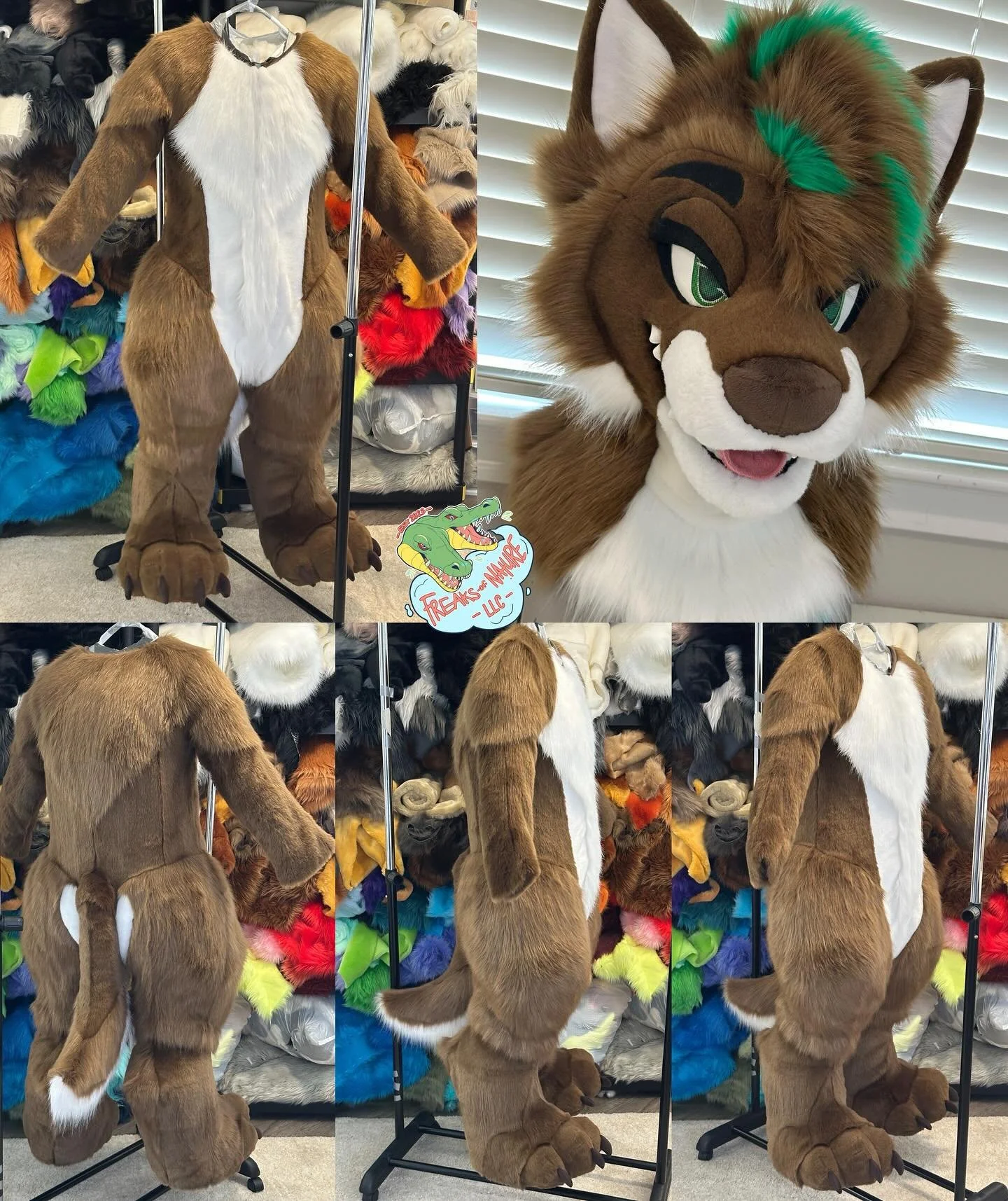 Showing off our last suit of 2025: Jade the Rocky Mountain Wolf! 🐺🌲

This fullsuit features magnetic eyelids, velcro tongues, sewn-in leg padding, and a layered hairstyle! Thank you for all your support in 2025, I can&rsquo;t wait to start the year
