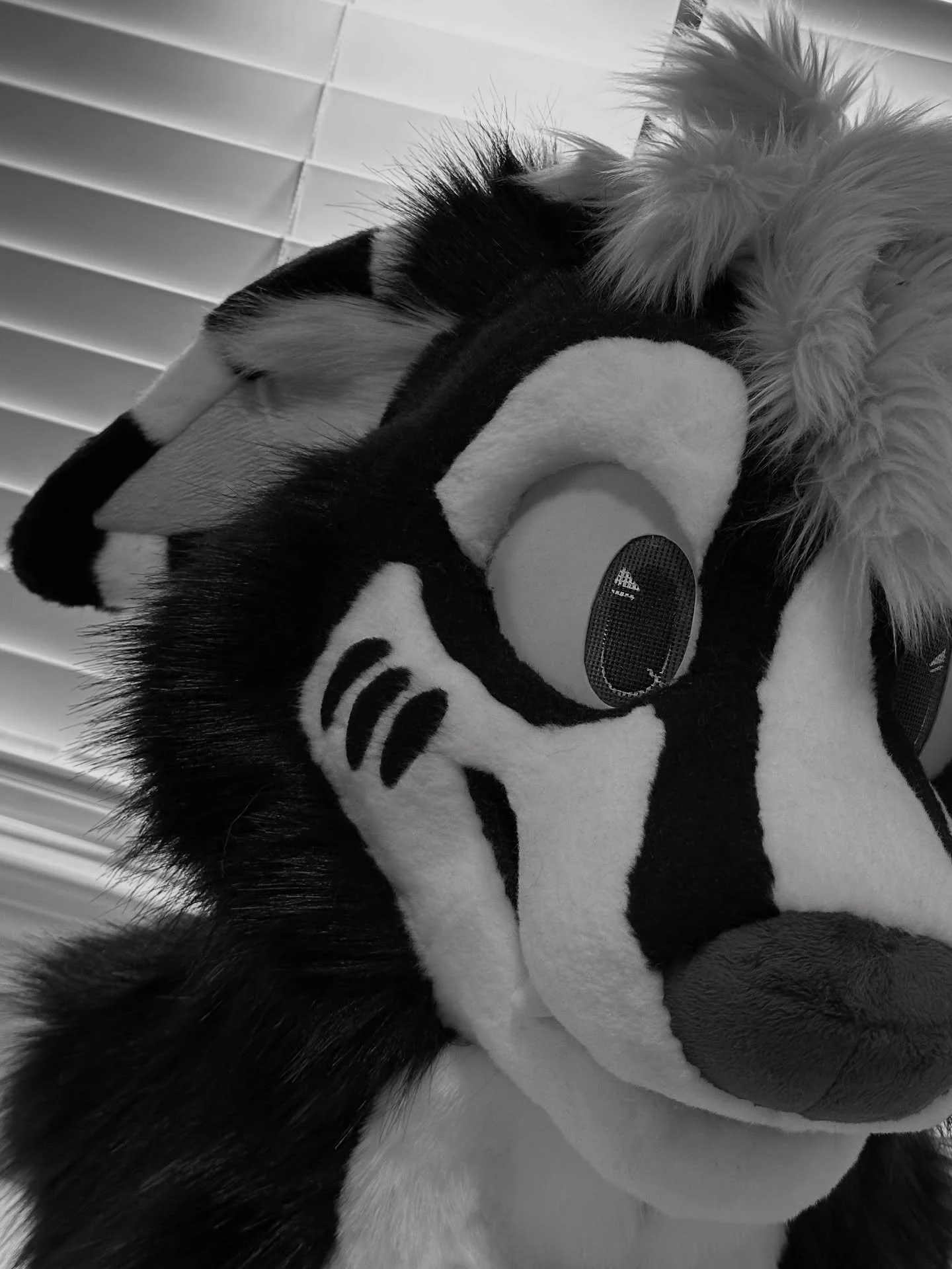 Detail trimming in-progress. . .
.
.
#furry #fursuit  #furryfandom #fursuitmaker