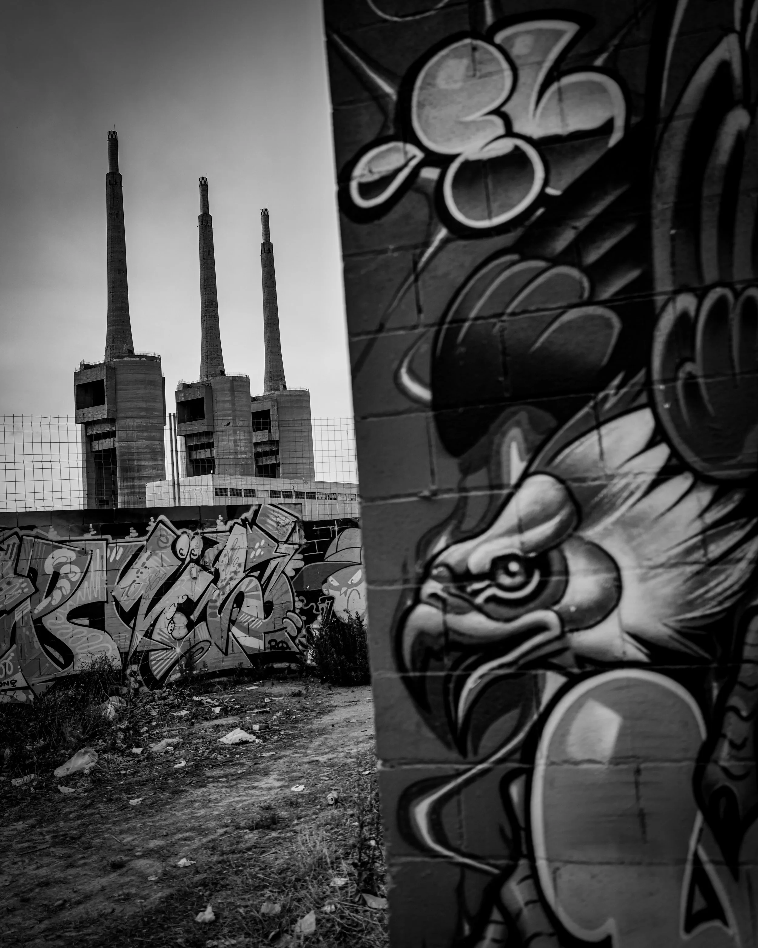 L1161747.JPG