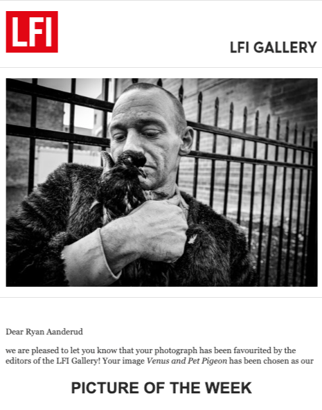 LEICA LFI GALLERY SELECTS