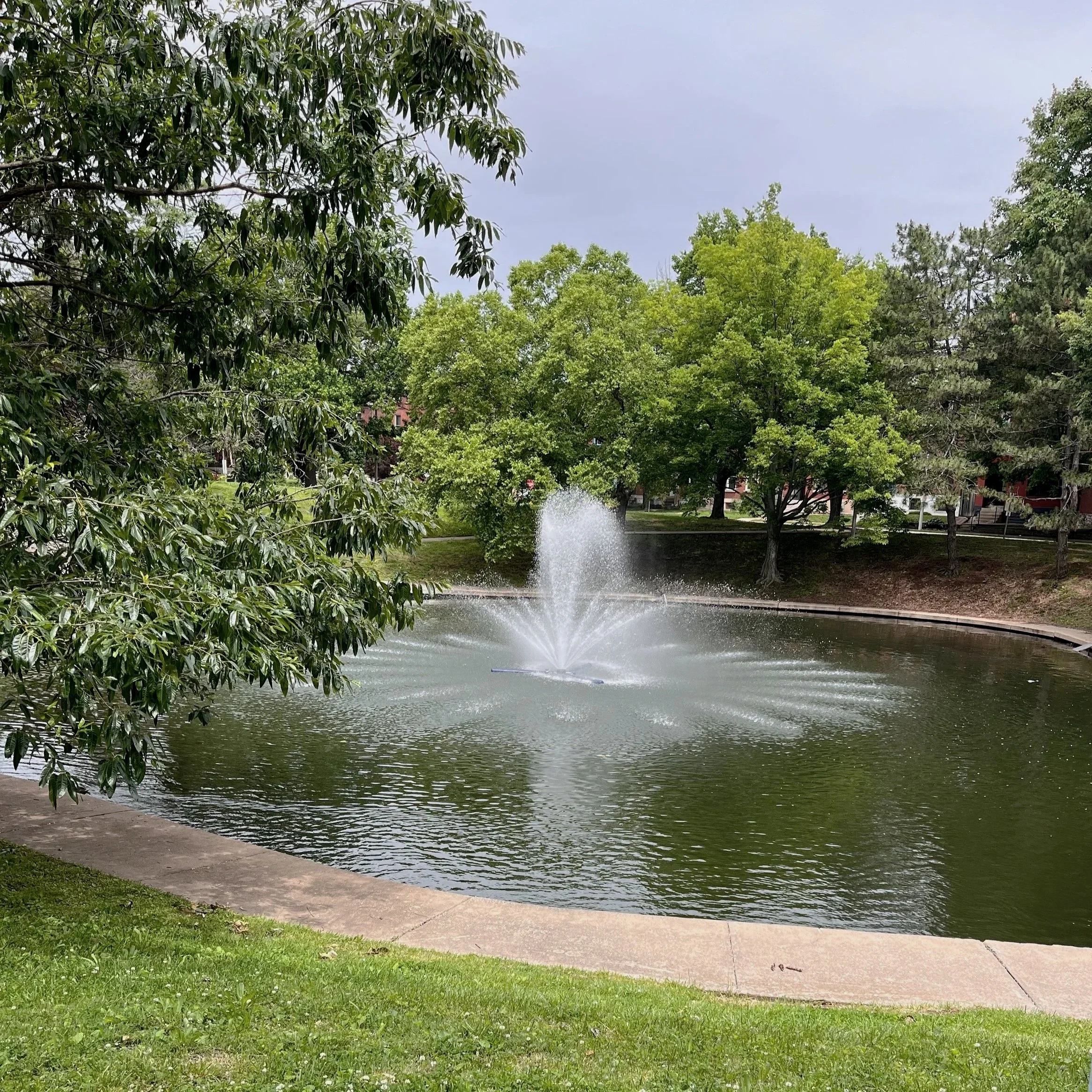 PARC Neighborhood Walk + Jog Meetup