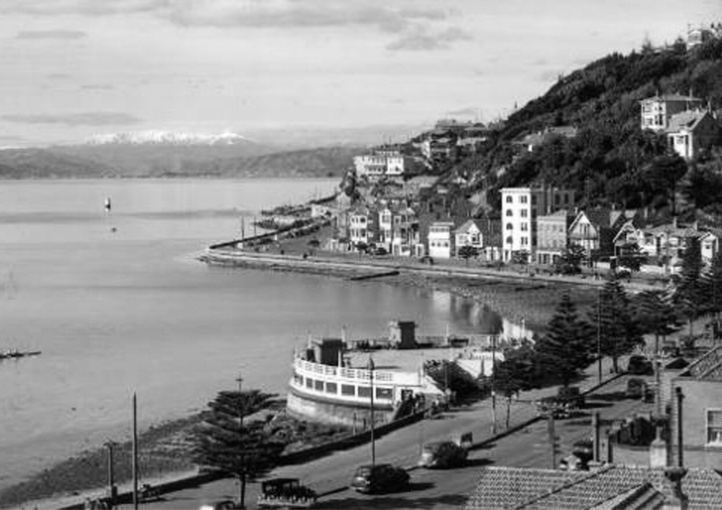 Mt Vic.jpg