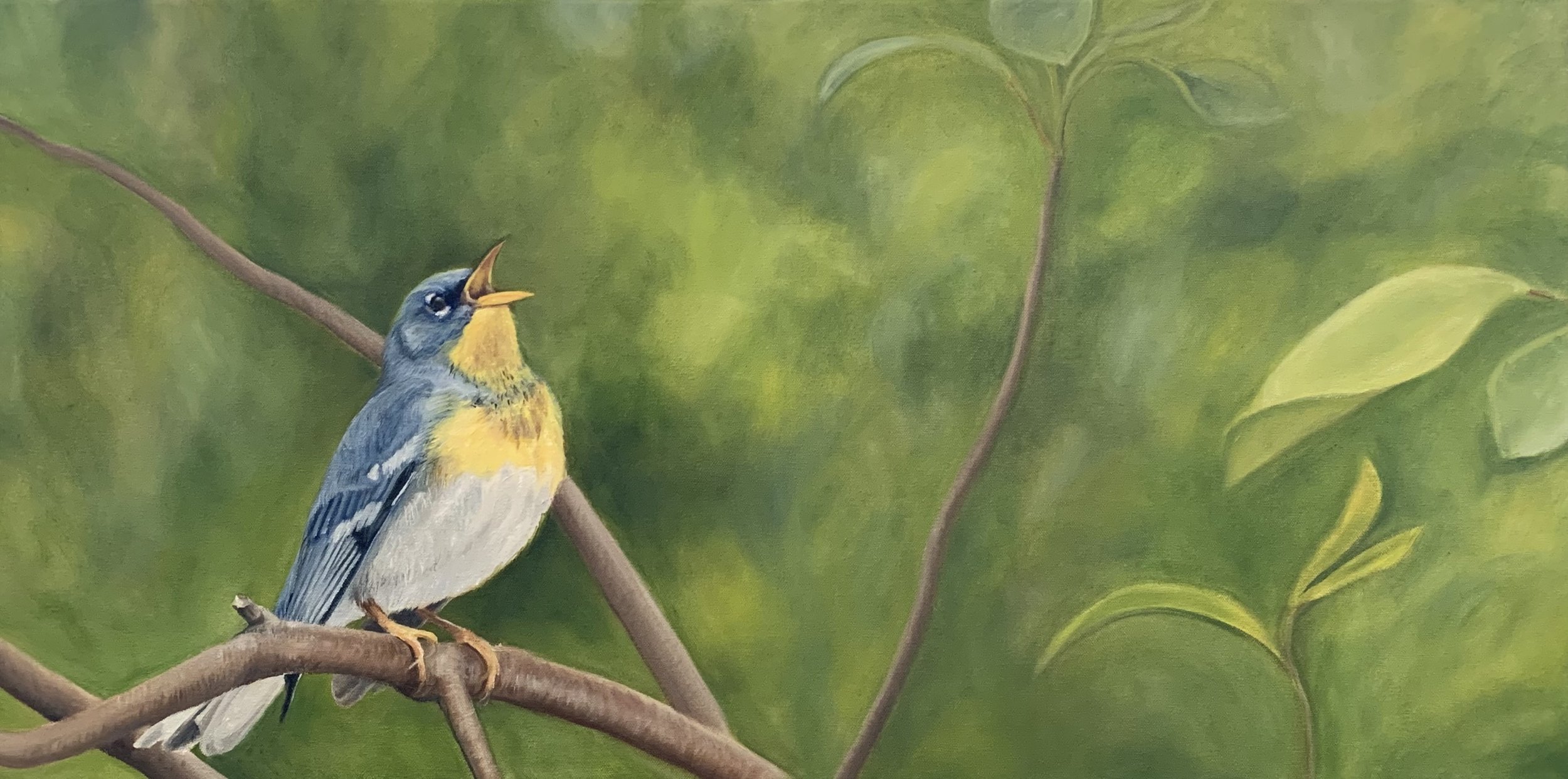 Northern Parula for Jenna.jpg