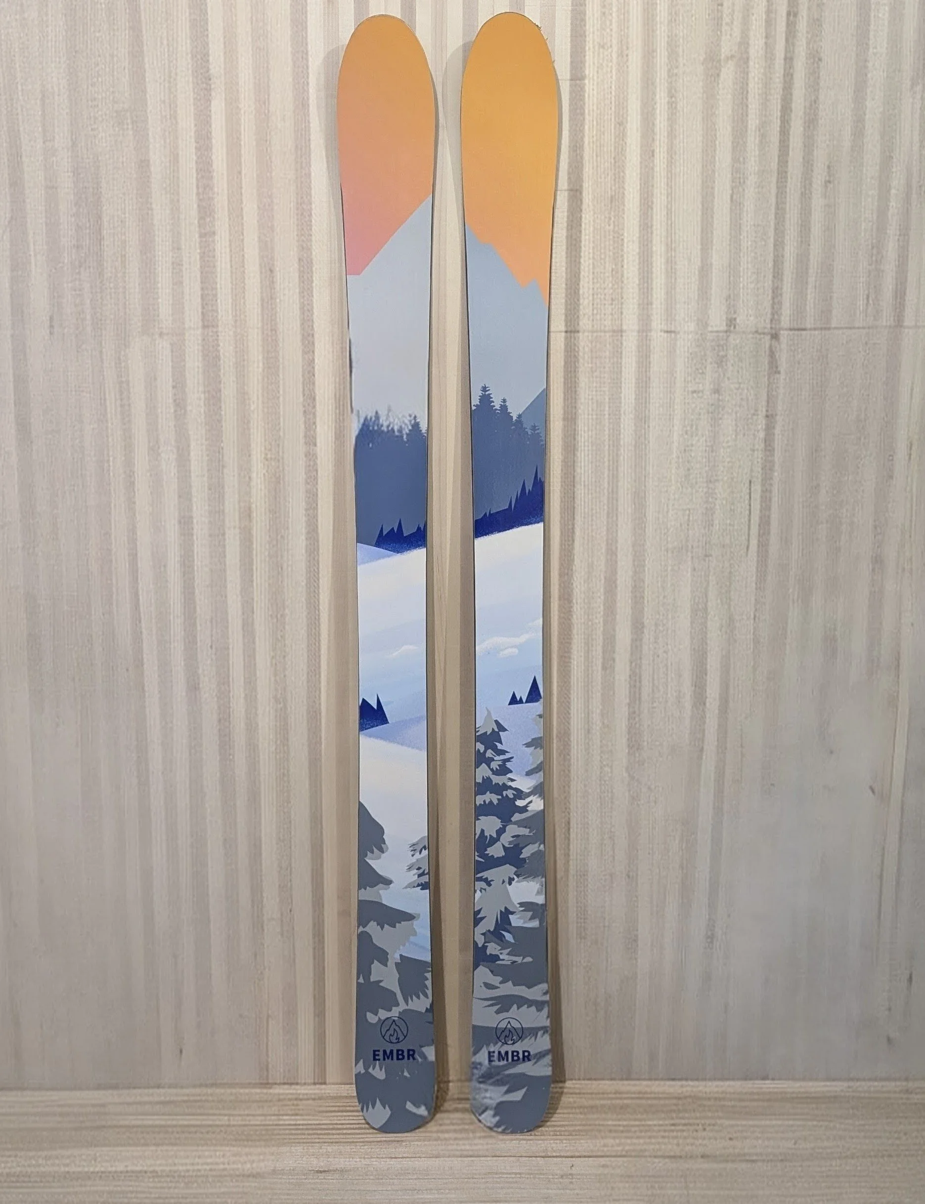 EMBR Custom Ski Build