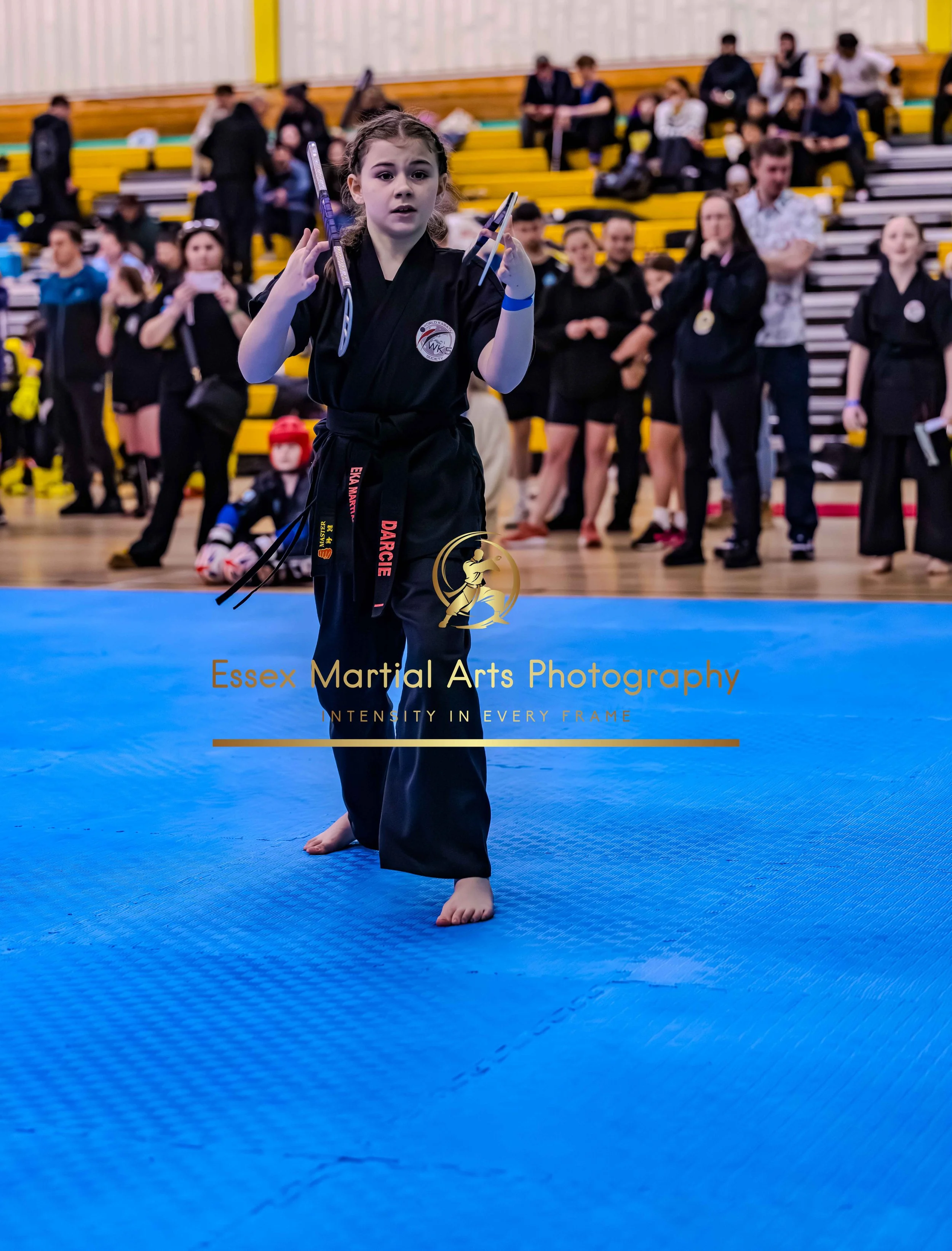 Solihull 2026-02-15-119.jpg