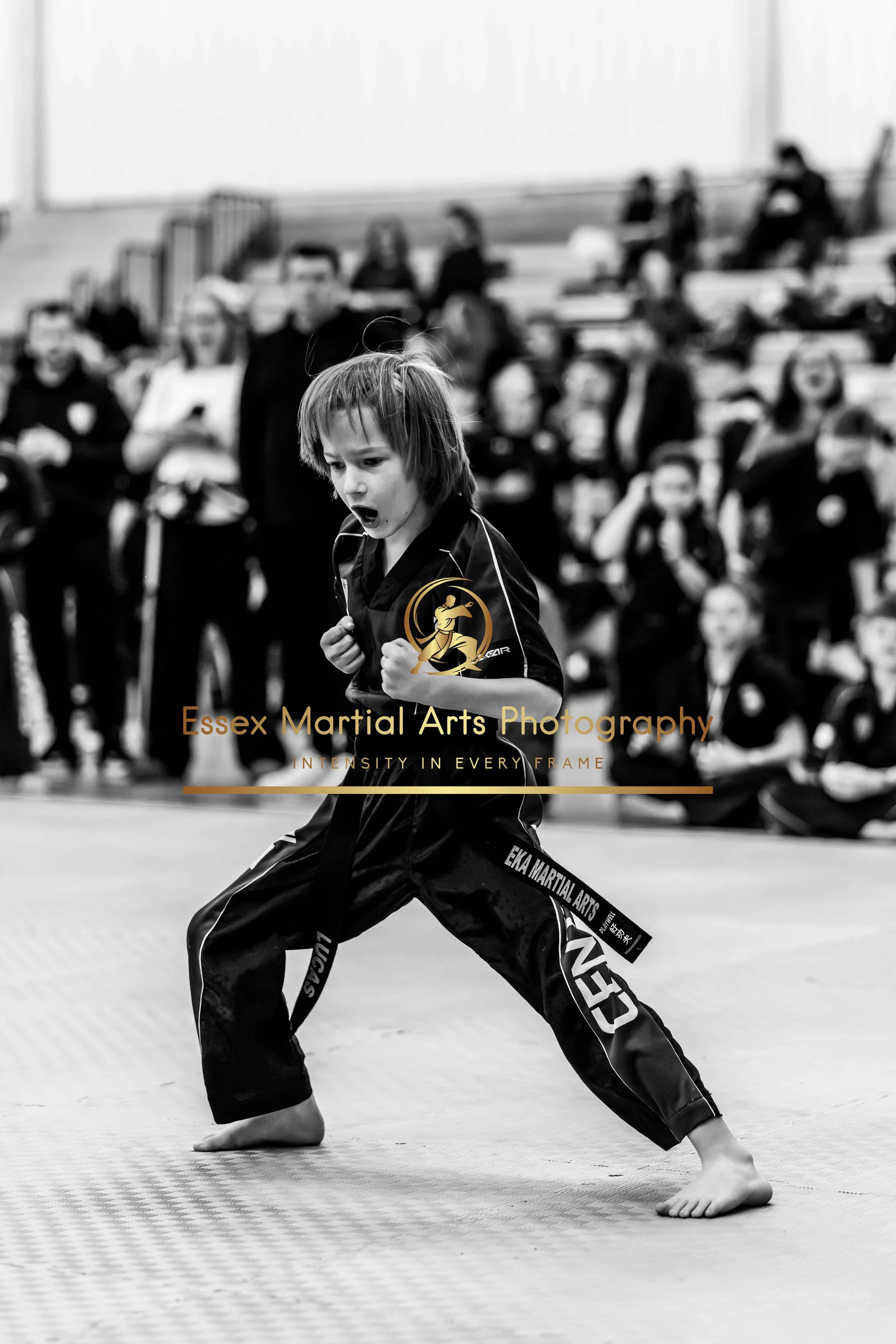 Solihull 2026-02-15-13.jpg