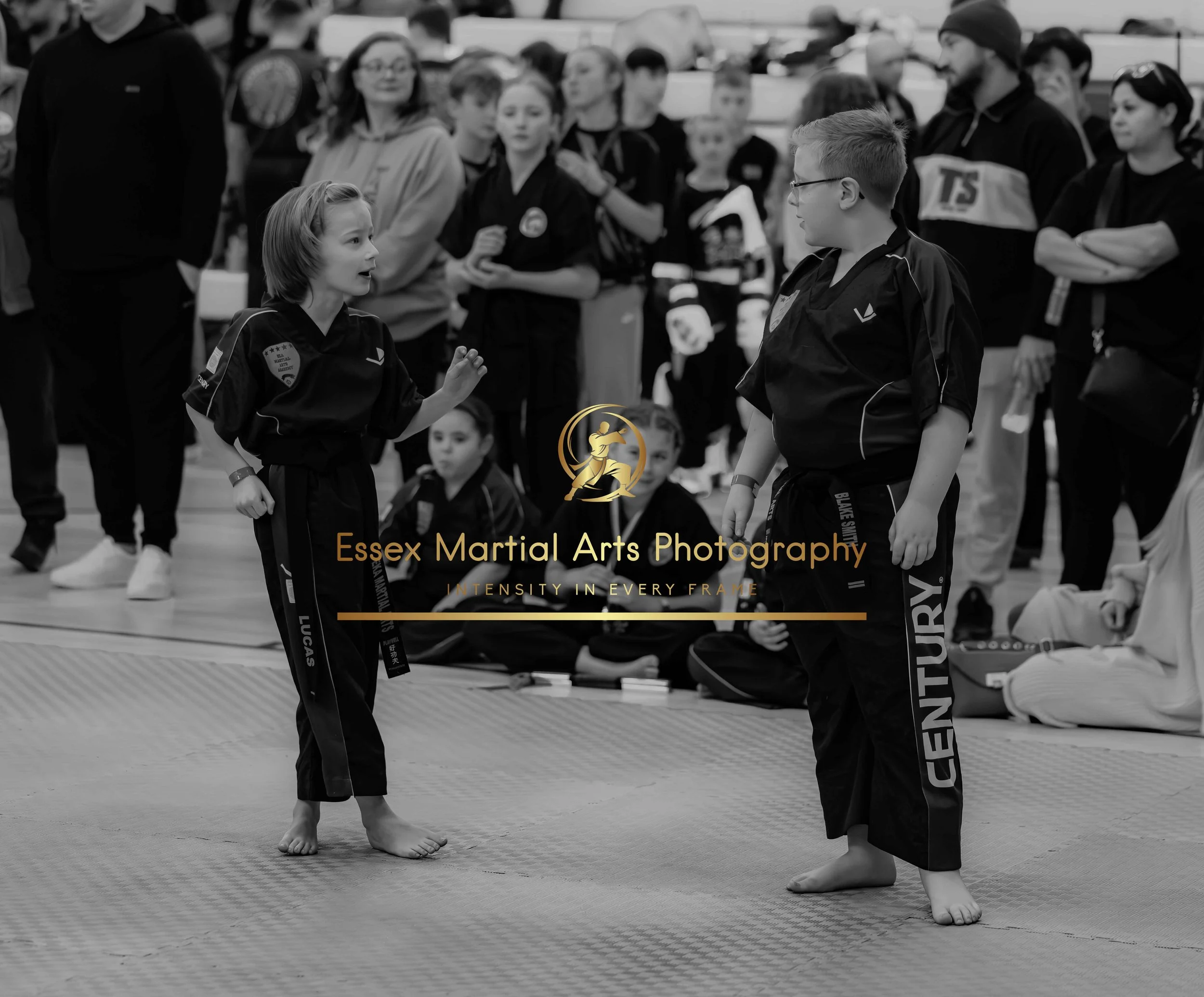 Solihull 2026-02-15-27.jpg