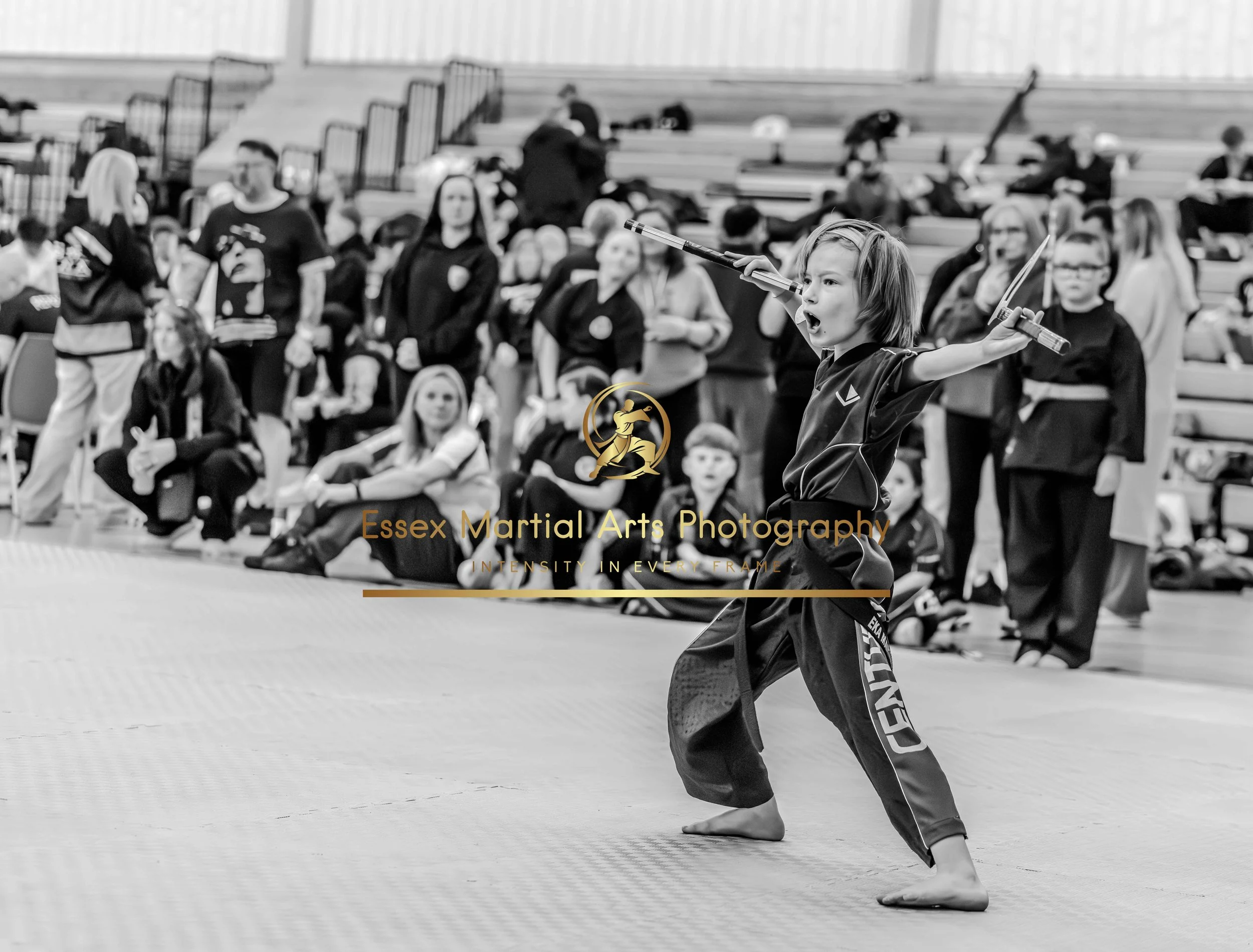 Solihull 2026-02-15-104.jpg