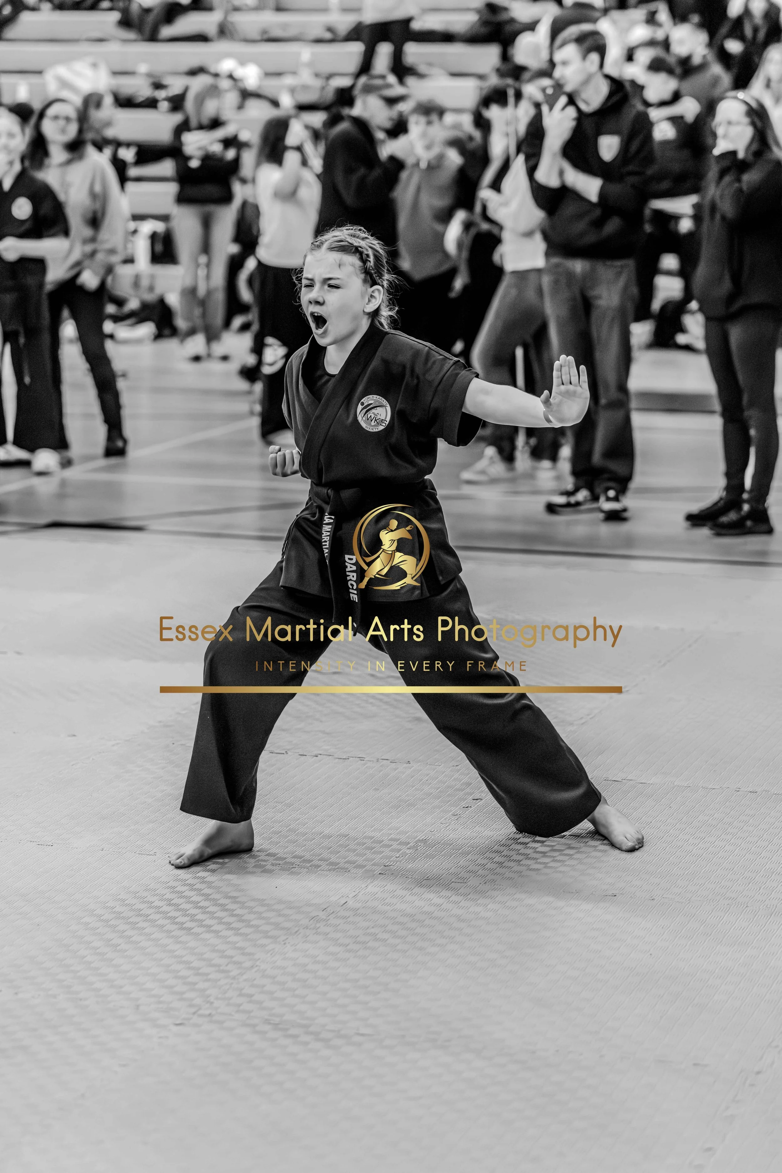 Solihull 2026-02-15-7.jpg