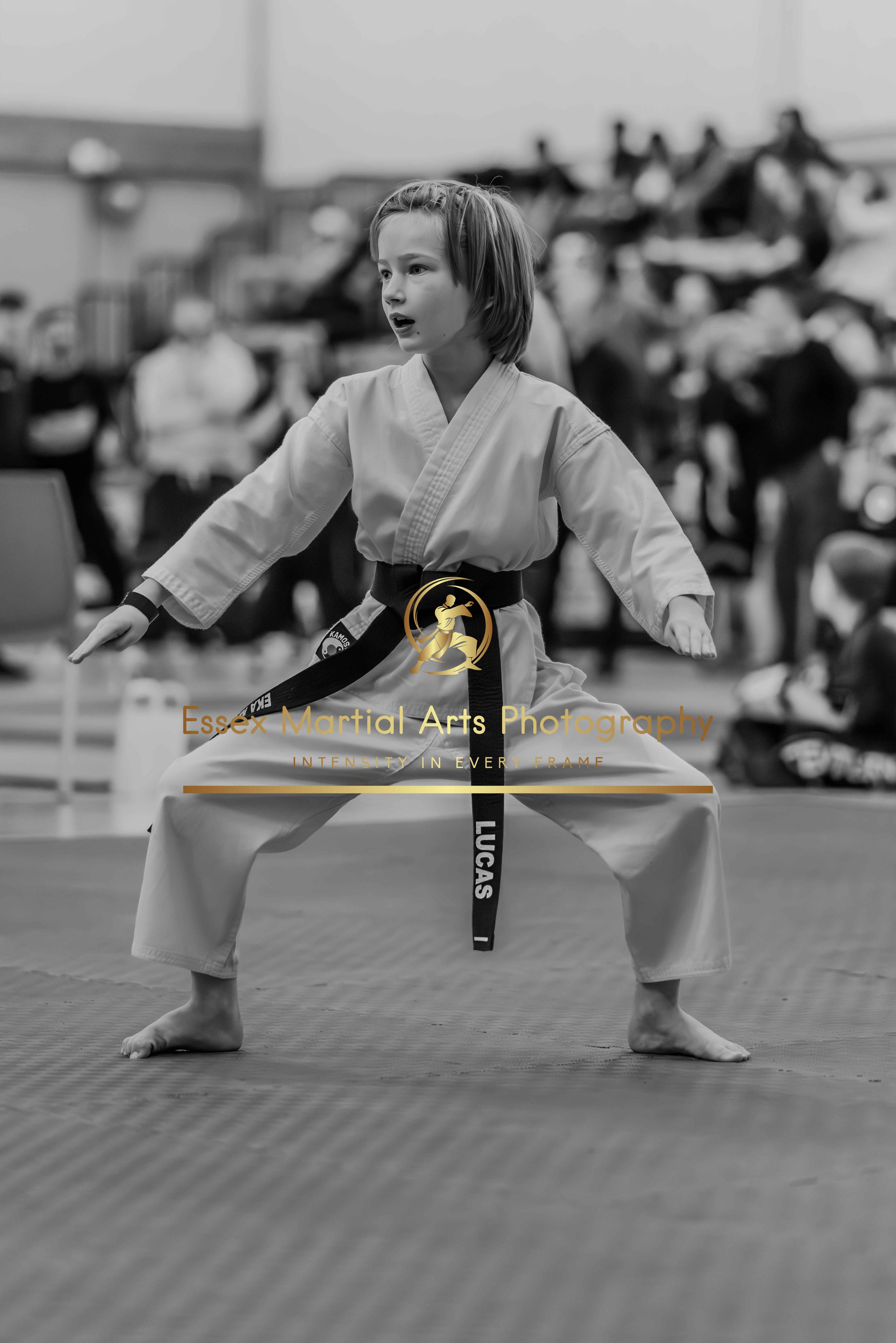 Solihull 2026-02-15-166.jpg