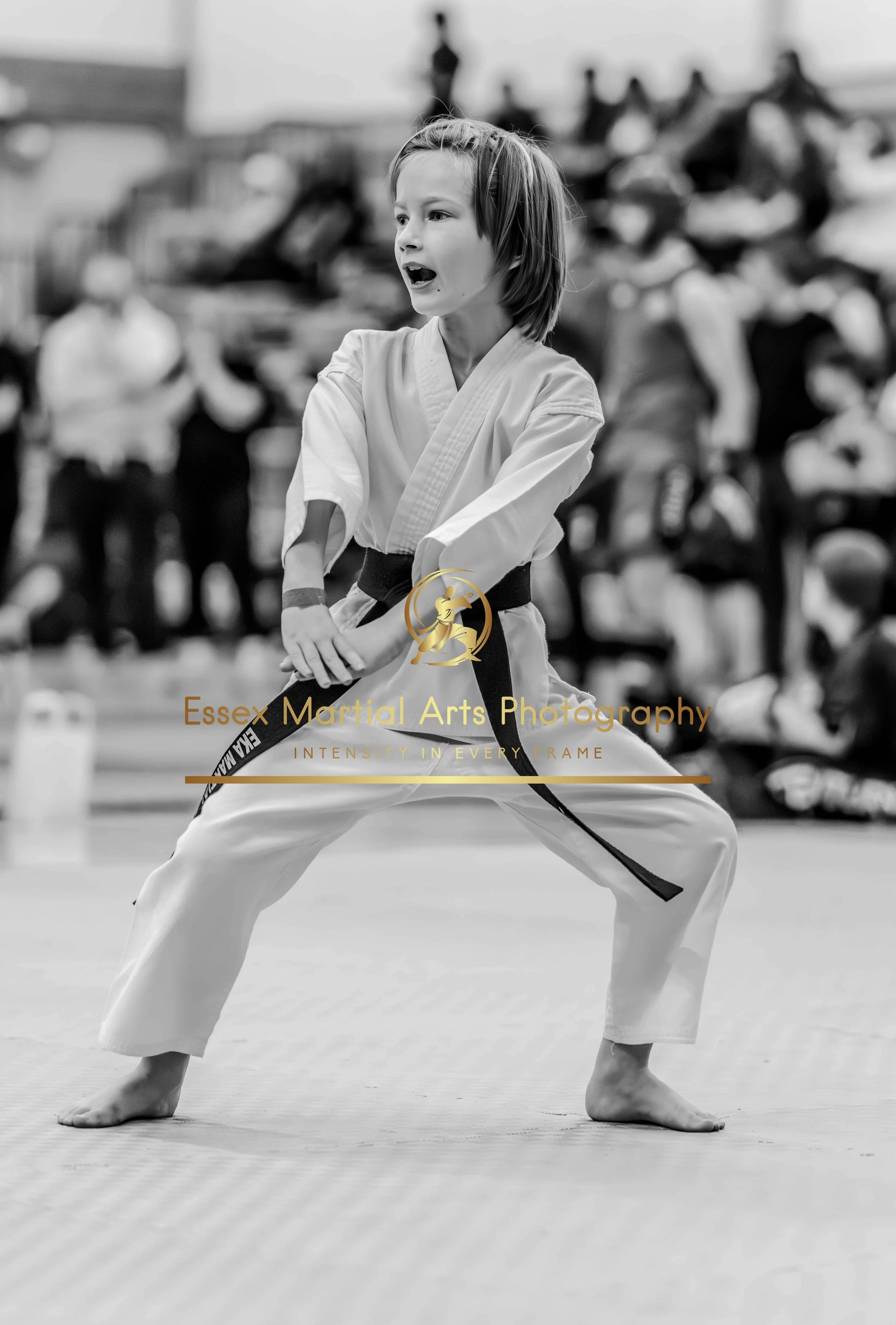 Solihull 2026-02-15-165.jpg