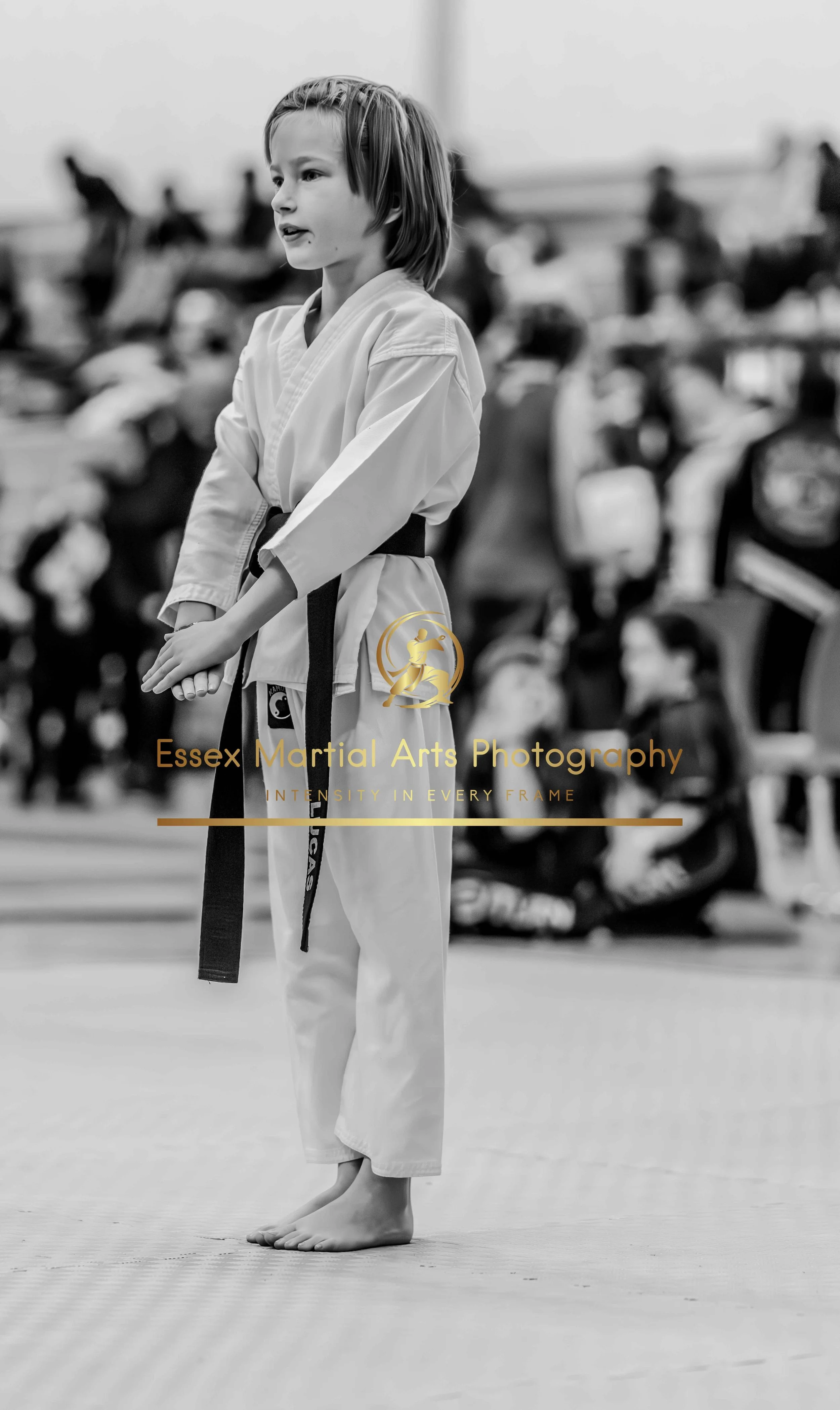 Solihull 2026-02-15-164.jpg