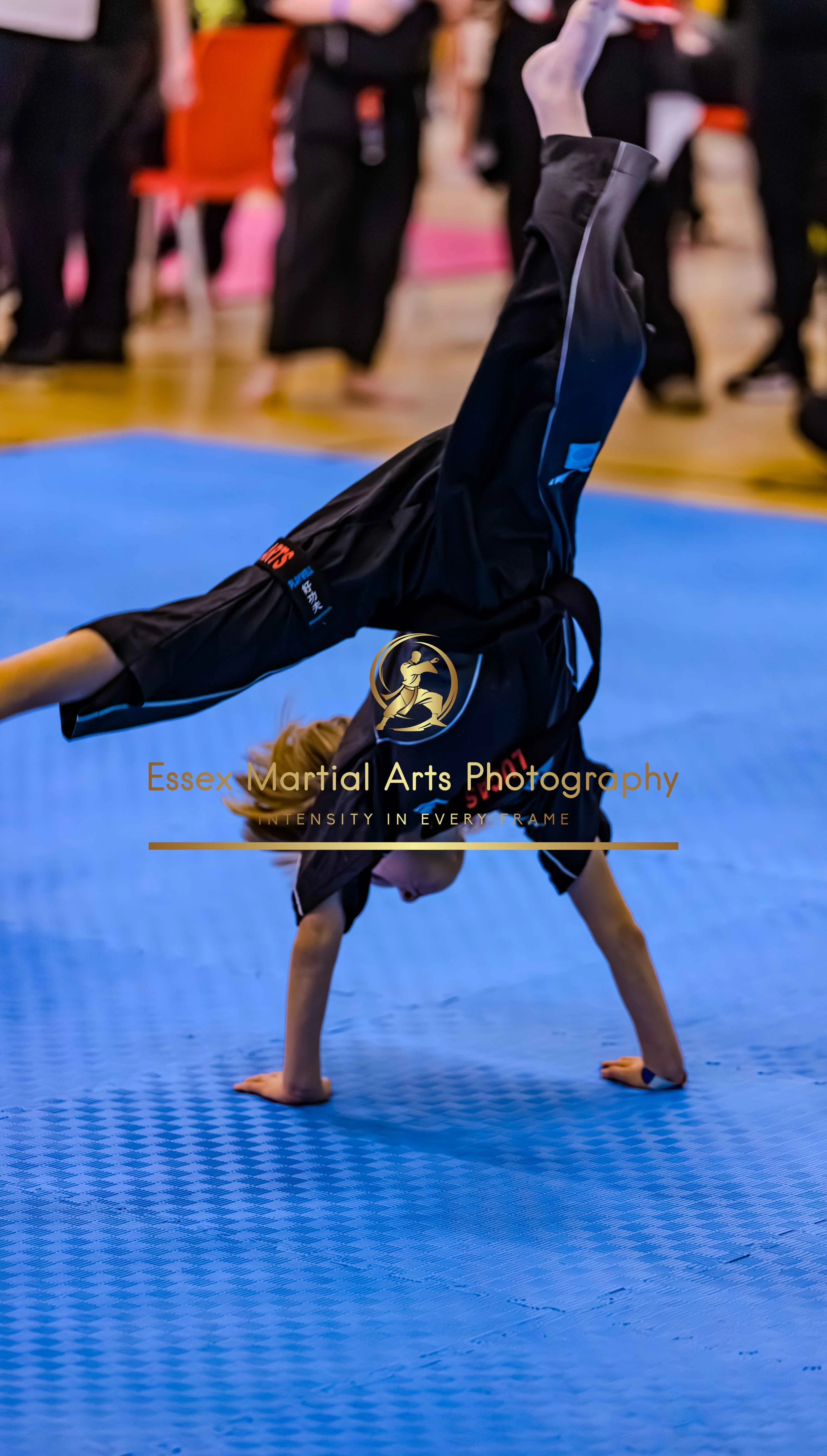 Solihull 2026-02-15-52.jpg