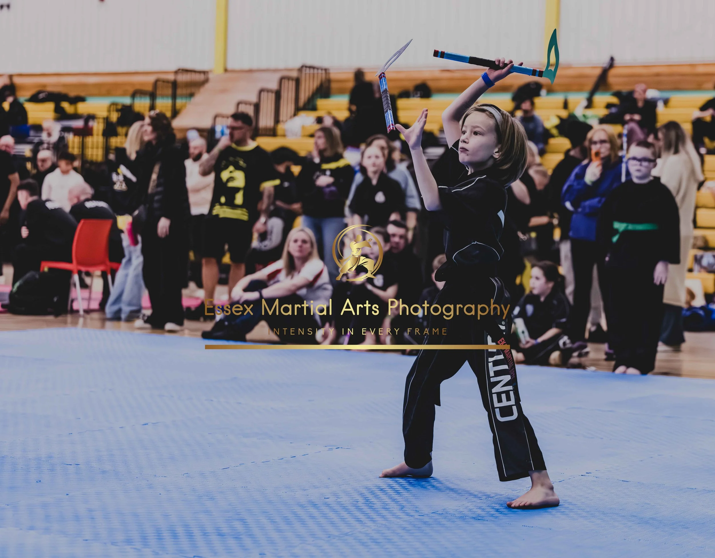 Solihull 2026-02-15-105.jpg