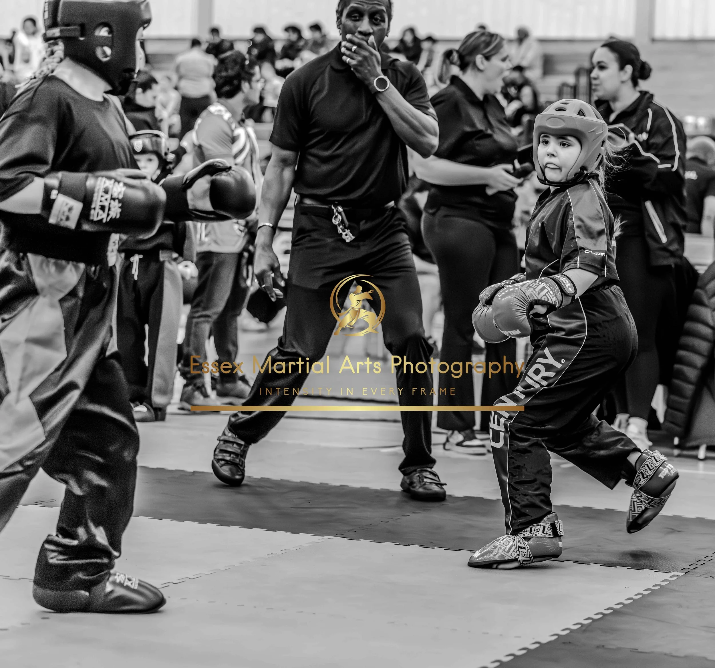 Solihull 2026-02-15-86.jpg