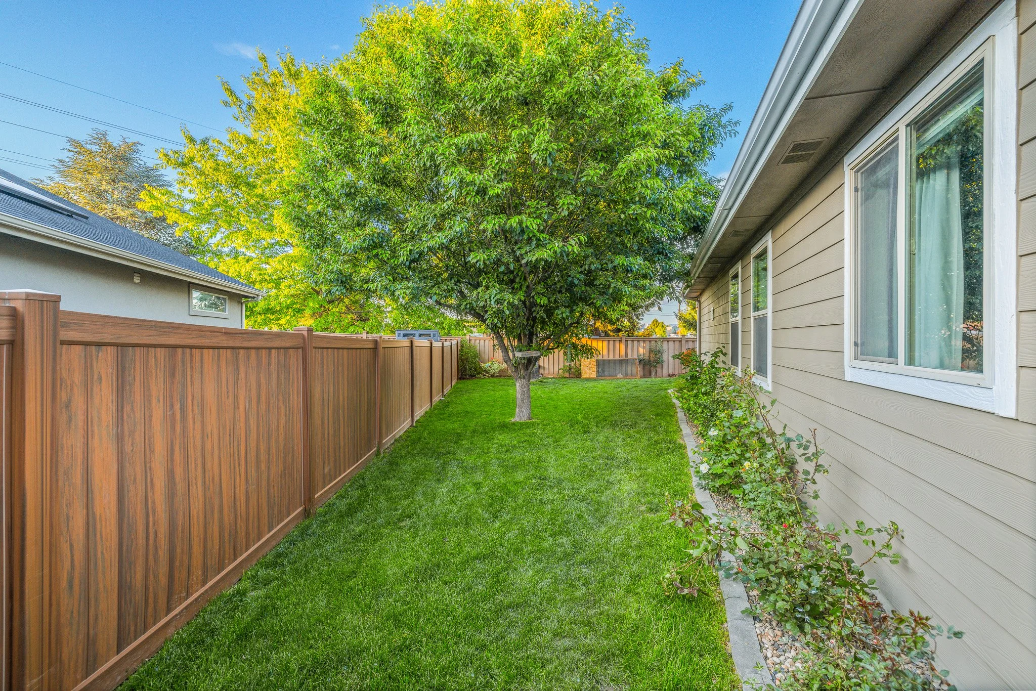 47-Backyard.jpg