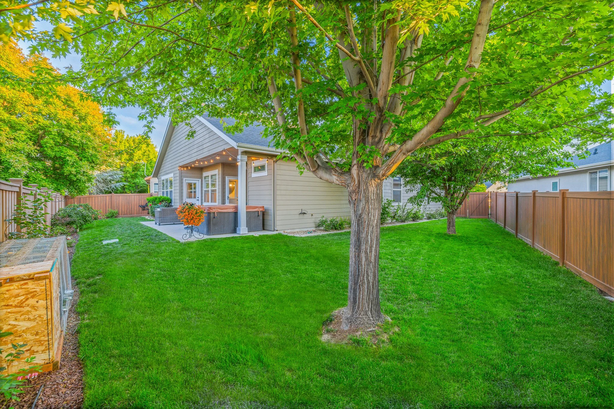 46-Backyard.jpg
