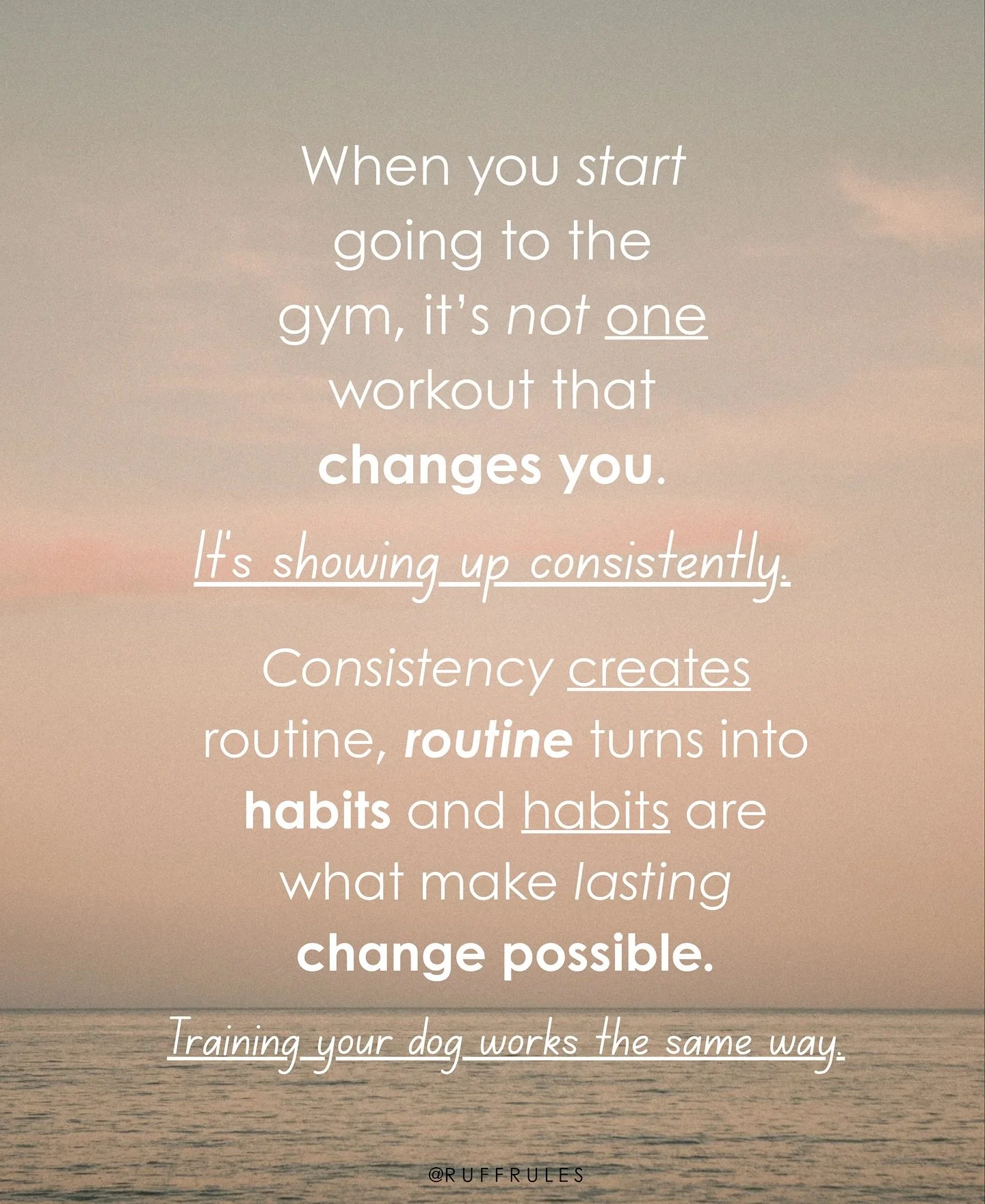 We don’t talk about practice and repetition to overwhelm you. We talk about it because that’s how real change happens.
Just like going to the gym, one workout won’t transform you. One training session won’t transform your dog