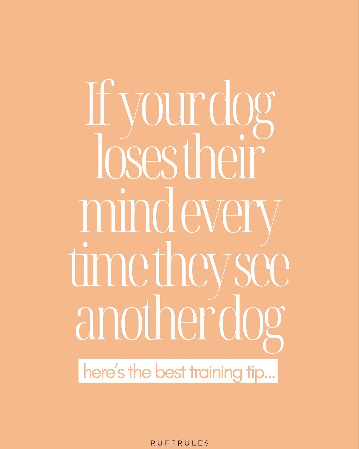 I crack myself up 💁🏼&zwj;♀️
.
.
.
#ruffrules