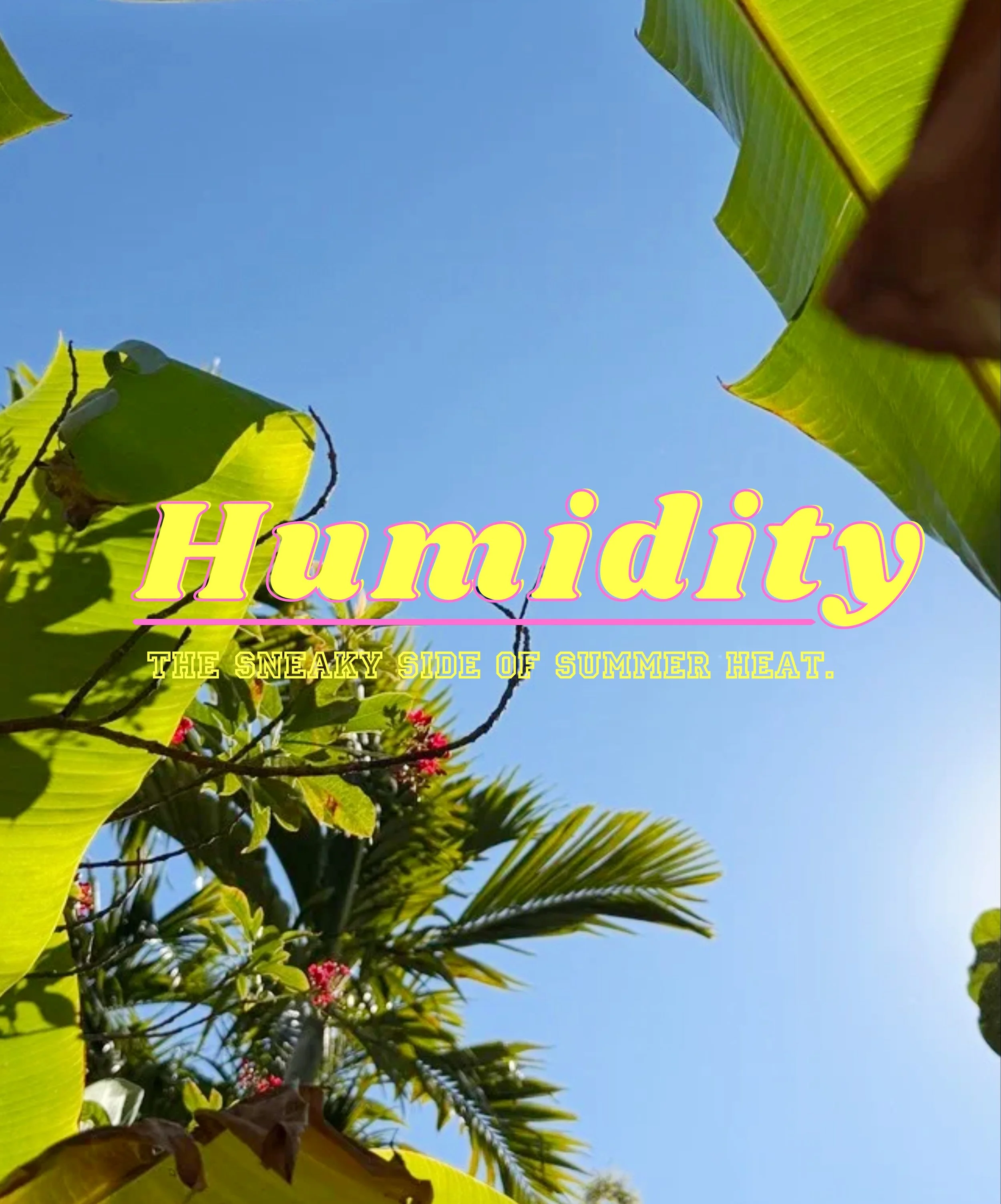 ☀️Florida summer has layers, and humidity is one of the sneakiest ones.

It&rsquo;s not just the temperature we need to be paying attention to. Humidity can make the air feel heavier, make it harder for your dog to cool down, and cause them to overhe