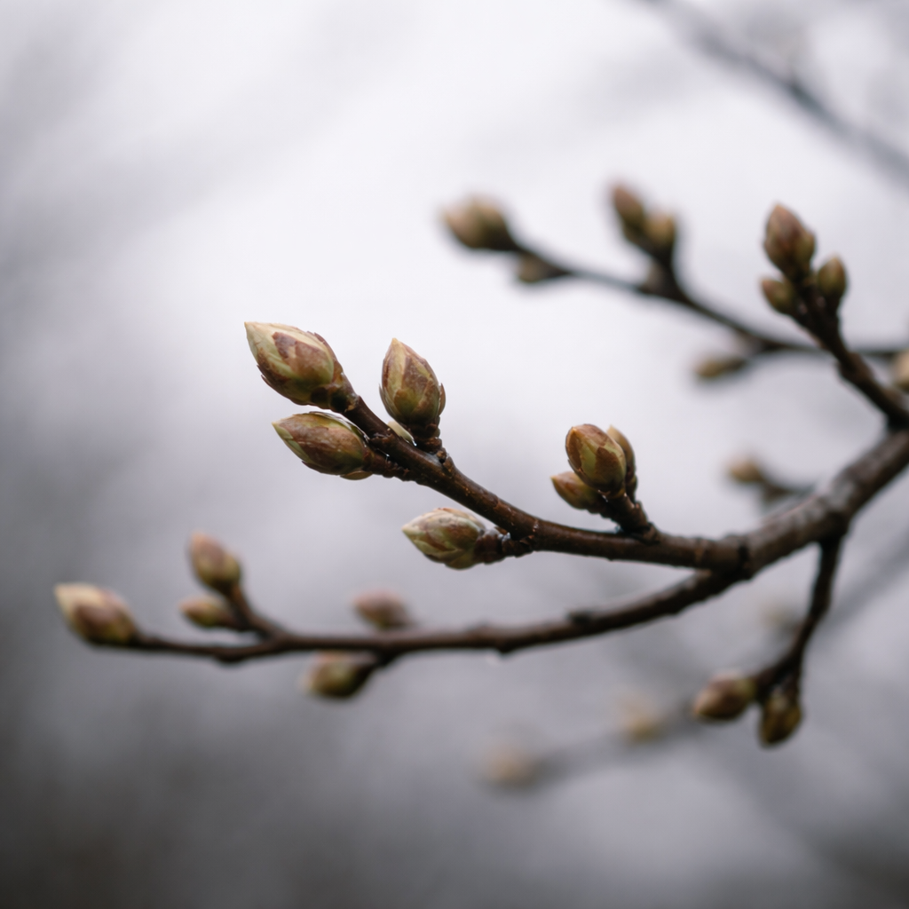 ChatGPT Image Feb 2, 2026, 01_32_31 PM.png