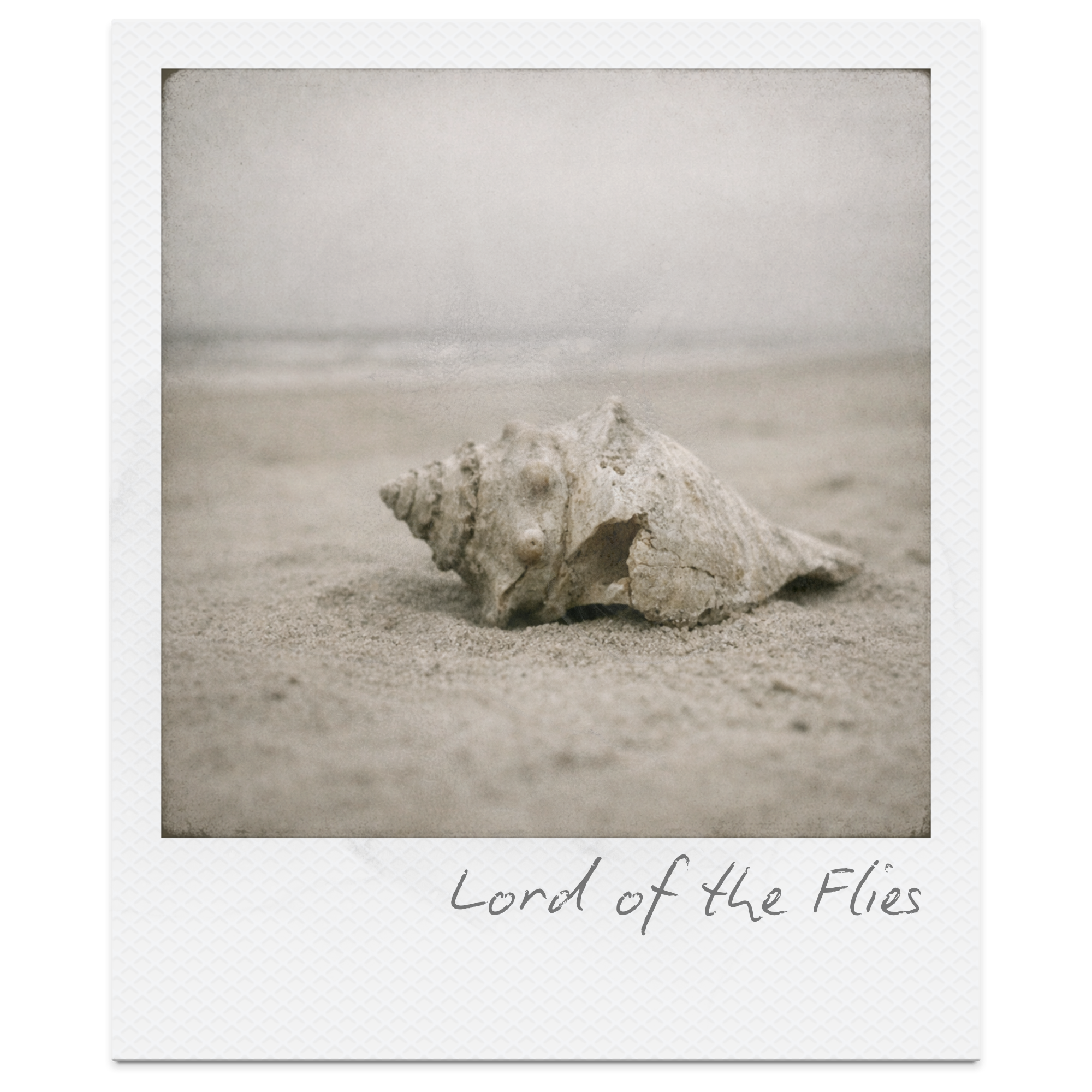 Lord of the Flies: Why Students Engage, and Why Teachers Need More Than a Summary Sheet