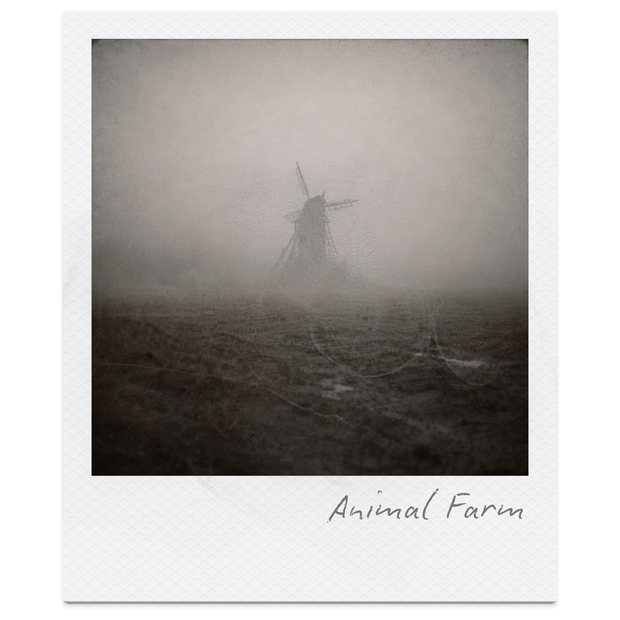 Blog Posts and Lit Tiles (1).png