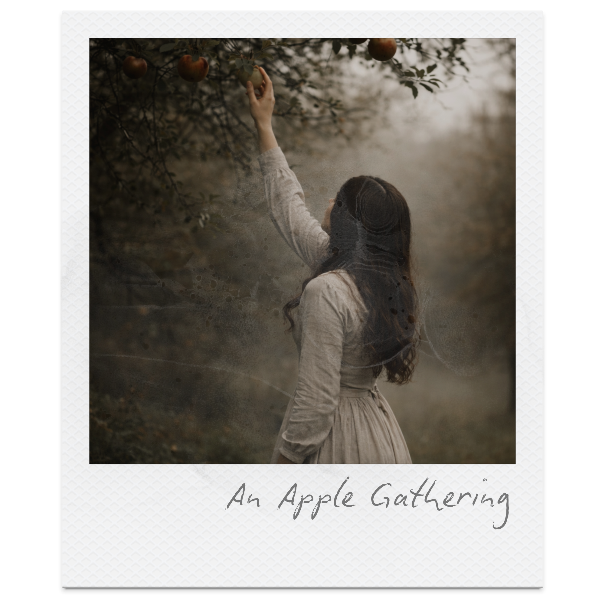 An Apple-Gathering by Christina Rossetti: Summary, Themes, and Detailed Analysis
