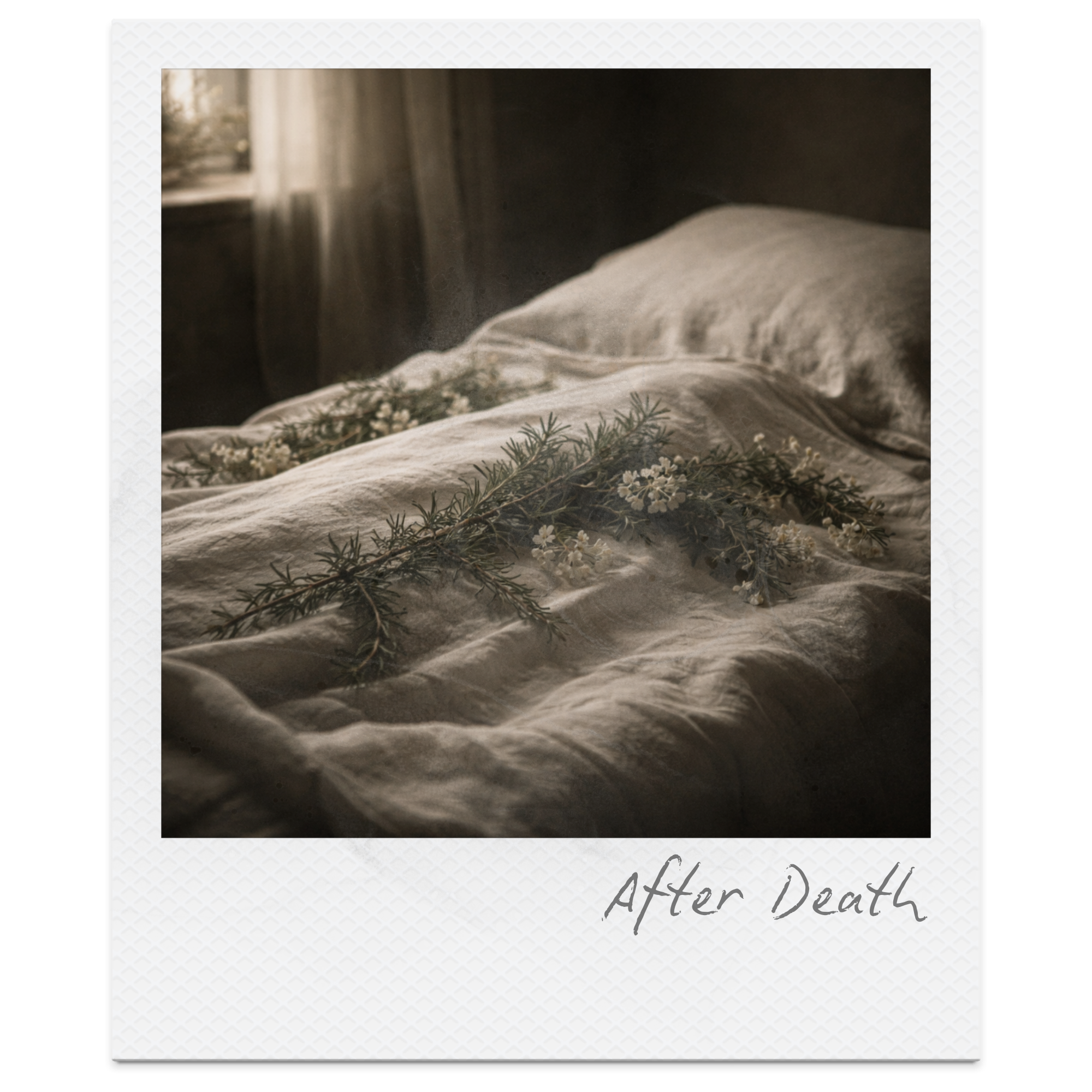 After Death by Christina Rossetti: Summary, Themes, Symbolism &amp; Analysis