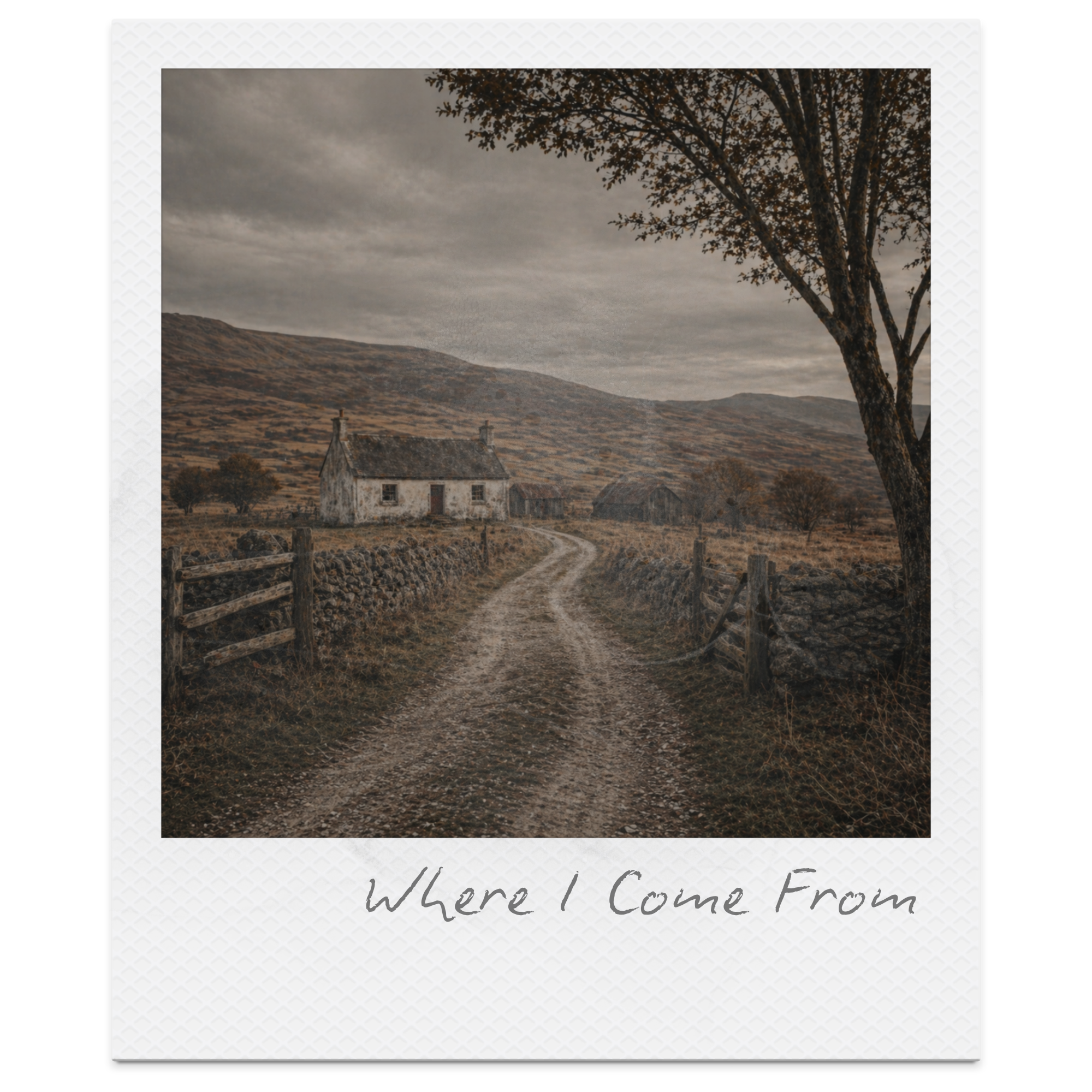 Where I Come From by Elizabeth Brewster: Summary, Themes &amp; Analysis