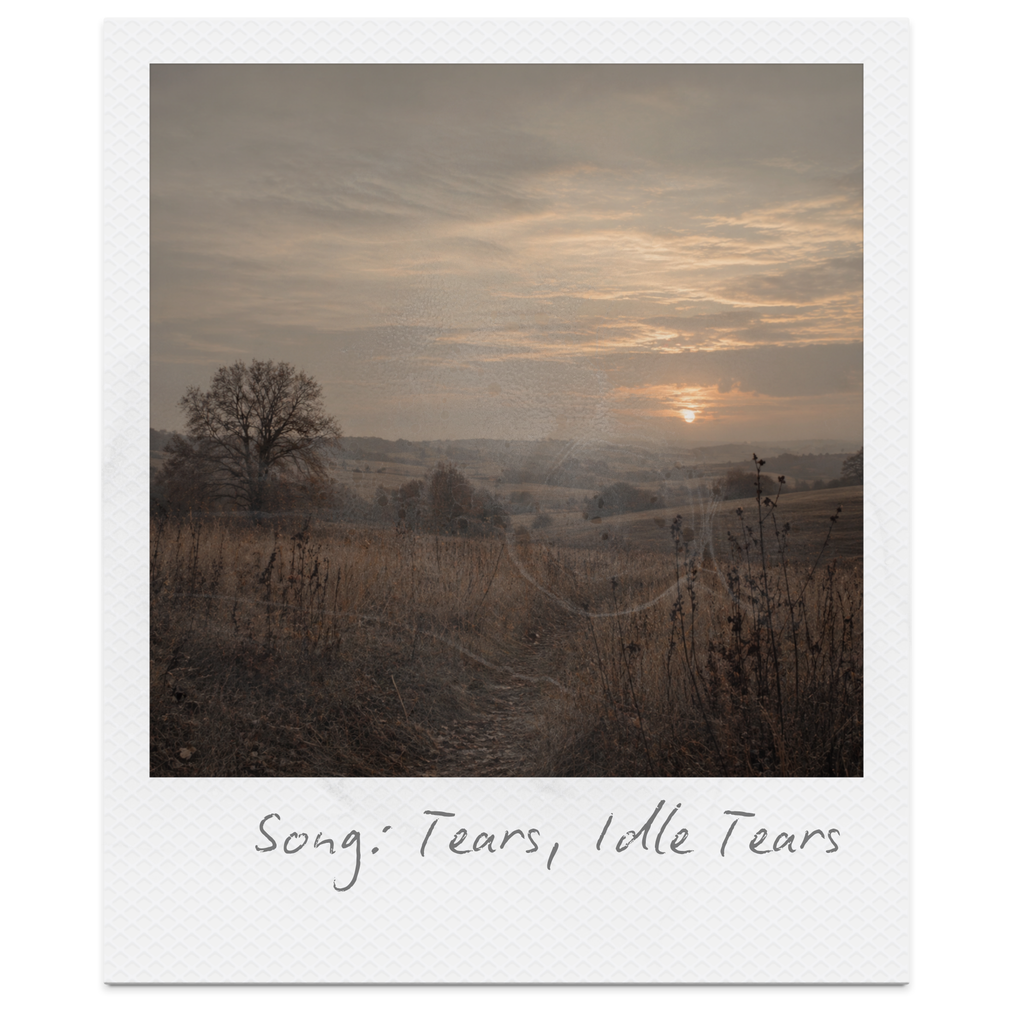 Tears, Idle Tears by Alfred, Lord Tennyson: Summary, Themes &amp; Analysis