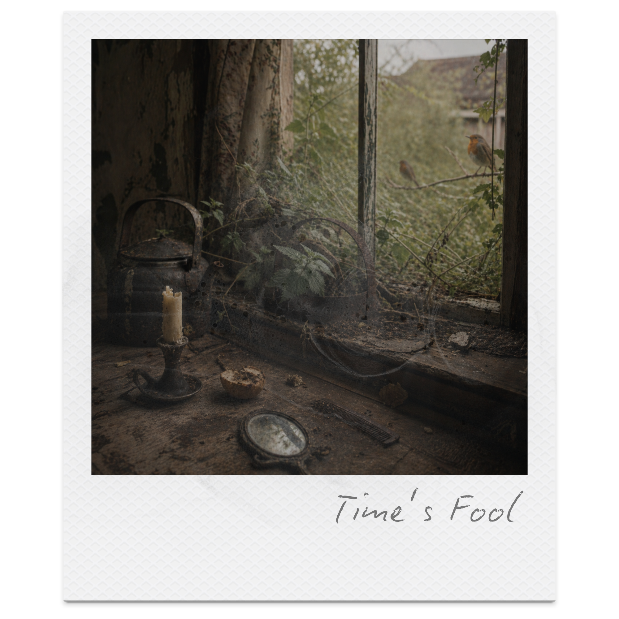 Time’s Fool by Ruth Pitter: Summary, Themes &amp; Analysis