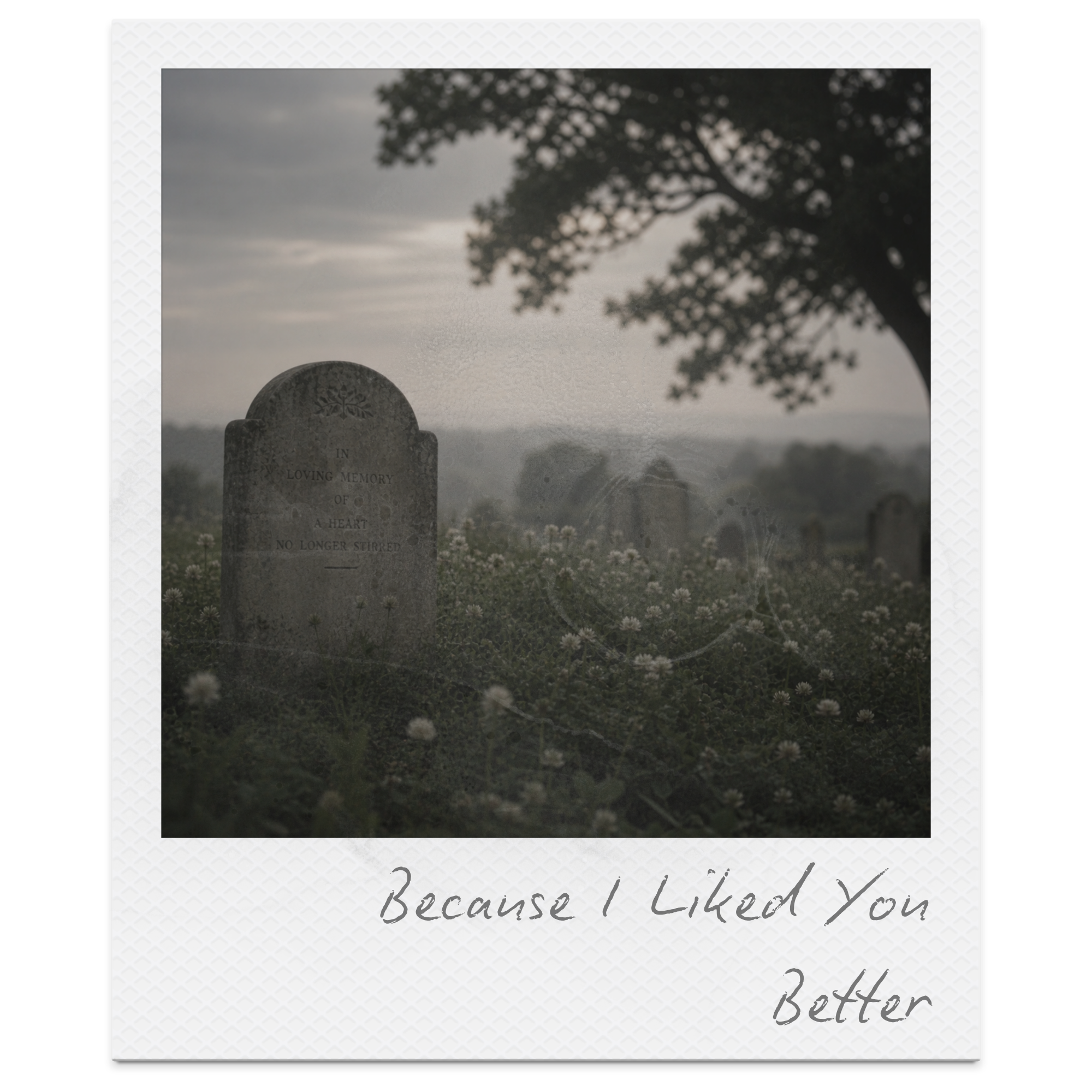 Because I Liked You Better by A. E. Housman: Summary, Themes, Meaning &amp; Analysis