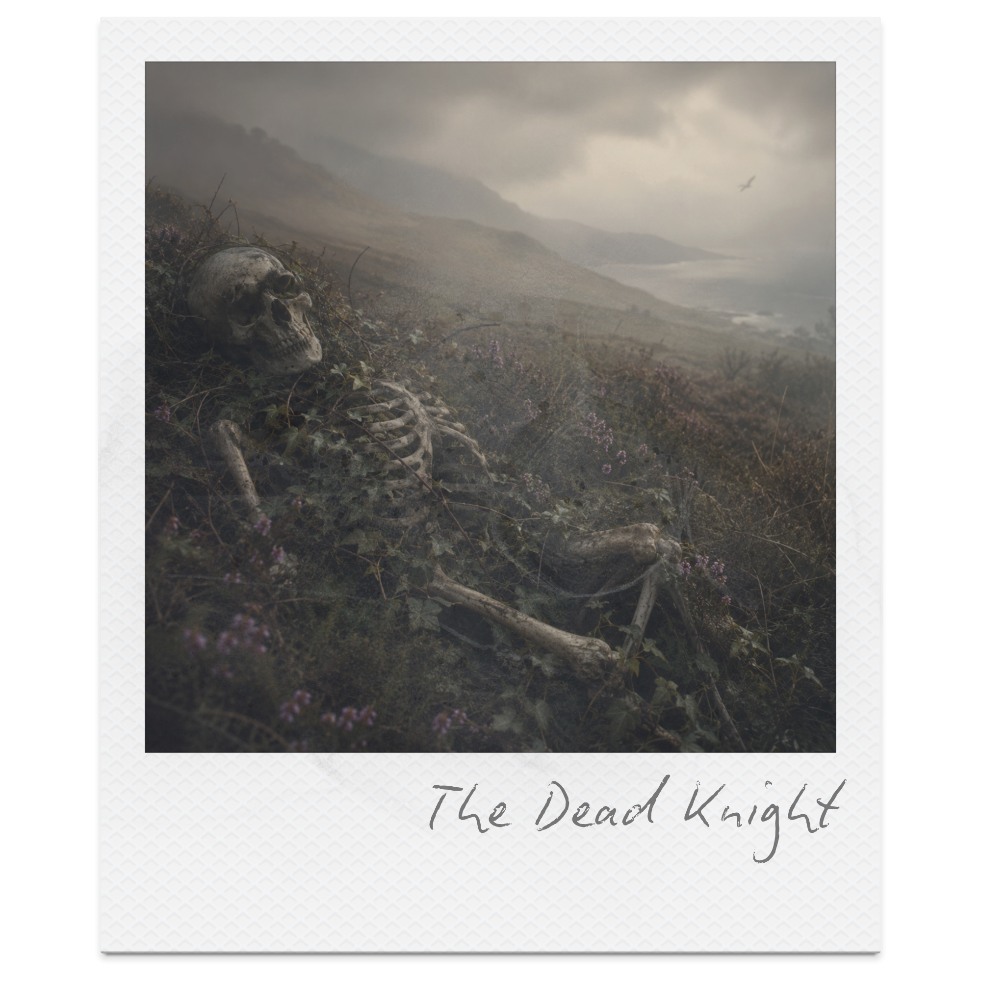 Blog Posts and Lit Tiles - 2026-06-22T104547.571.png