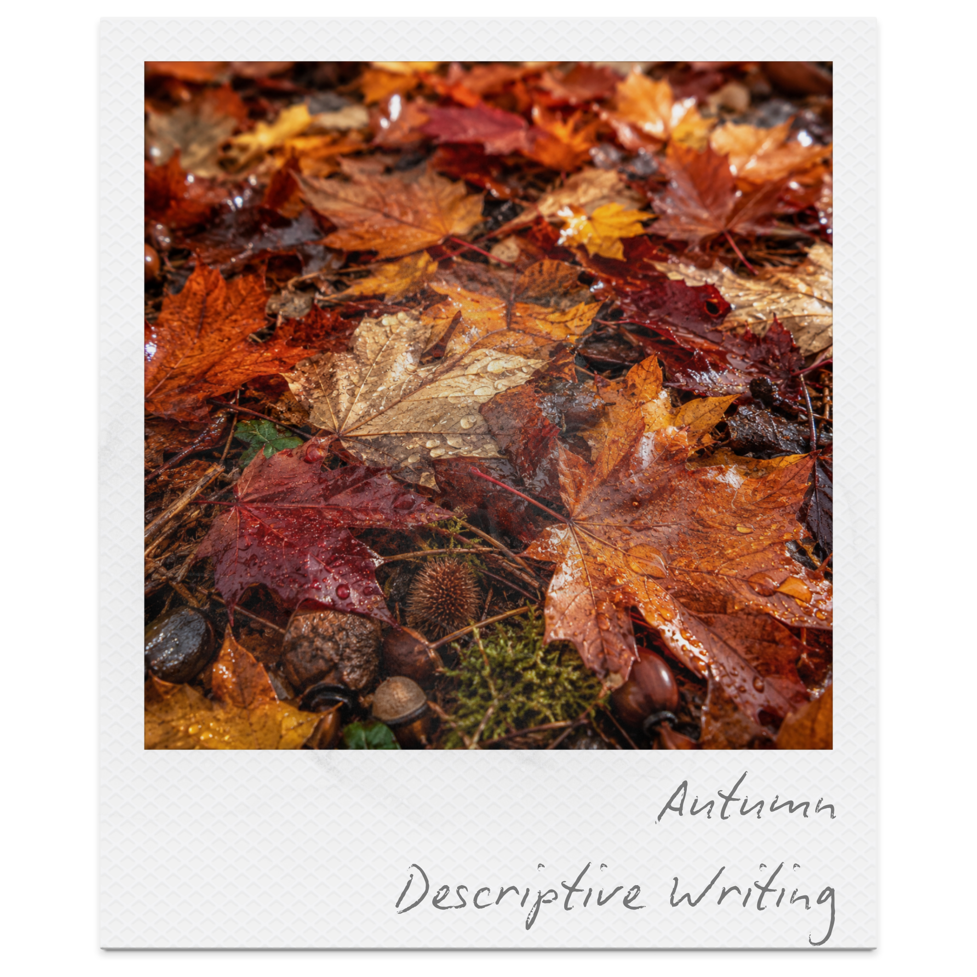 Close-up of wet autumn leaves of various colors including red, orange, and brown, on the ground with some greenery and dark soil visible among them.