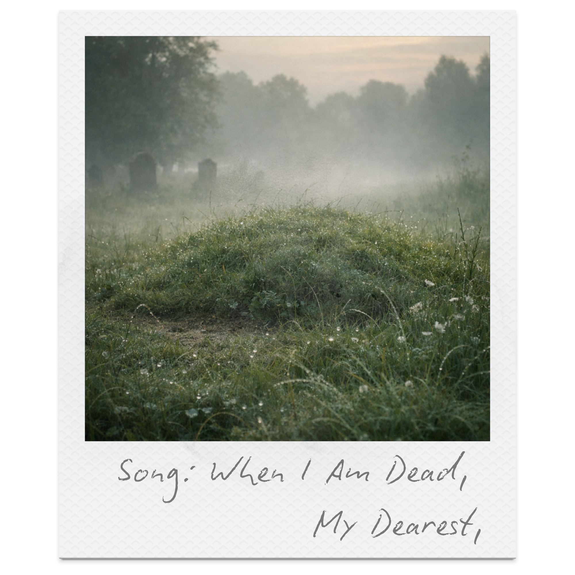 A foggy, grassy field with dew-covered plants and a mound in the foreground, with trees and old tombstones in the background, under a cloudy sky.