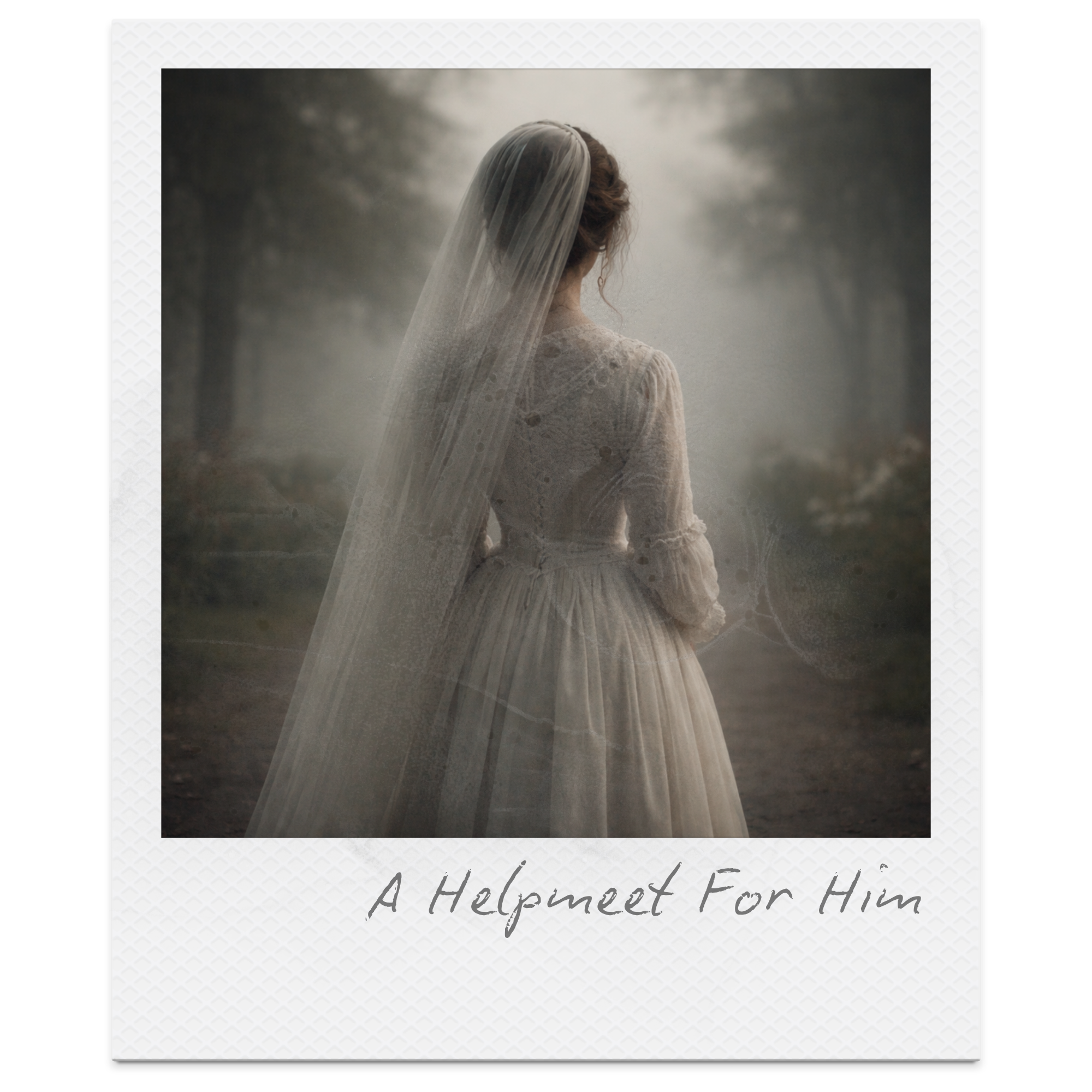 A woman dressed in a vintage wedding dress with a veil, standing outdoors in a misty, wooded area.