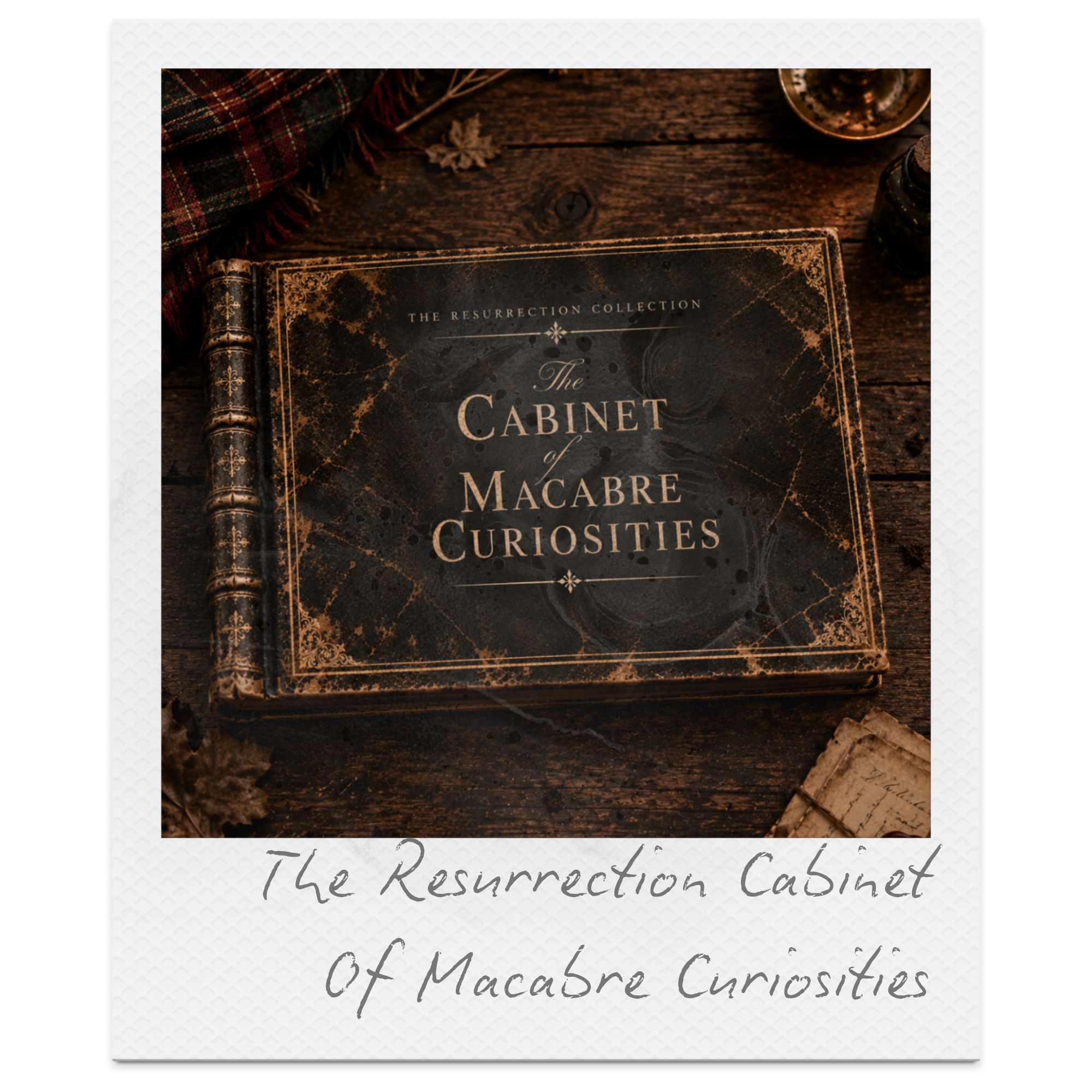 Close-up of a vintage book titled 'The Cabinet of Macabre Curiosities' on a rustic wooden table with dried leaves, a tartan cloth, and ink bottles nearby.