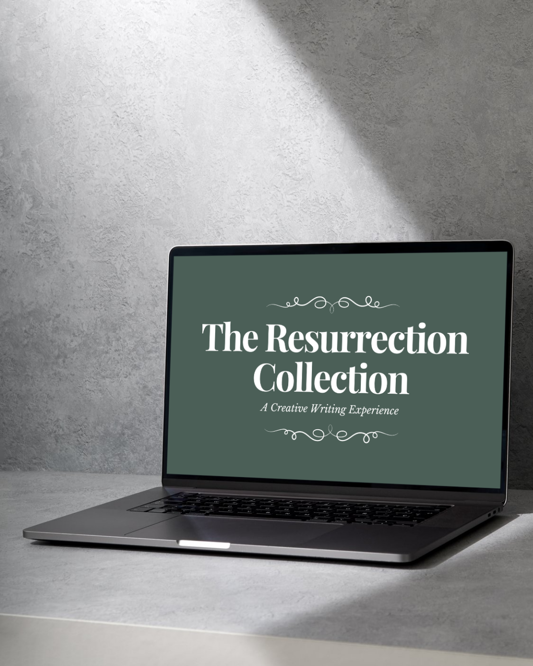 Product photos - 2026-02-05T143829.379.png